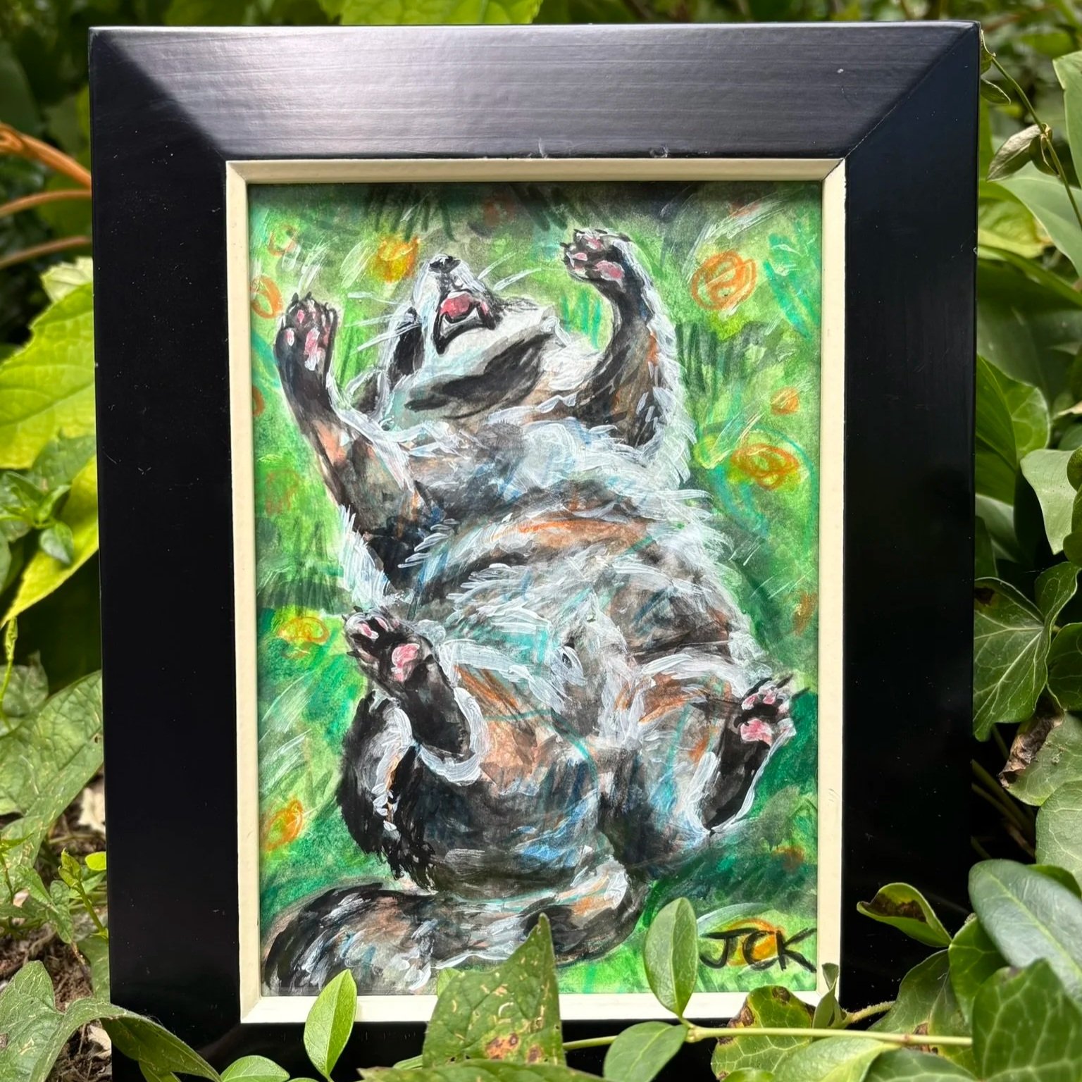 Raccoon - SOLD