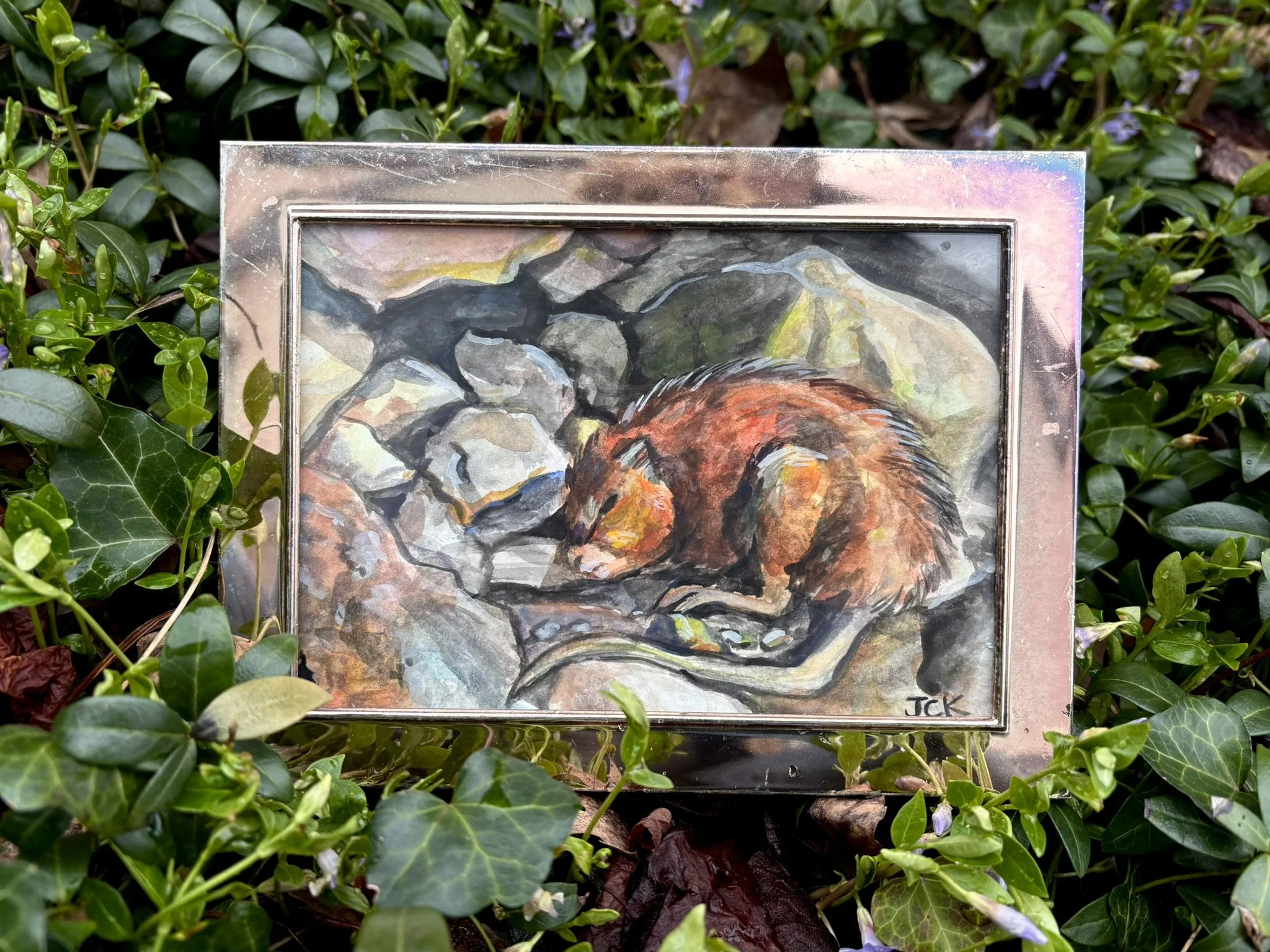 River Muskrat, 2026, 5x7 inches gouache on watercolor paper in a thrifted 6x8 inch frame