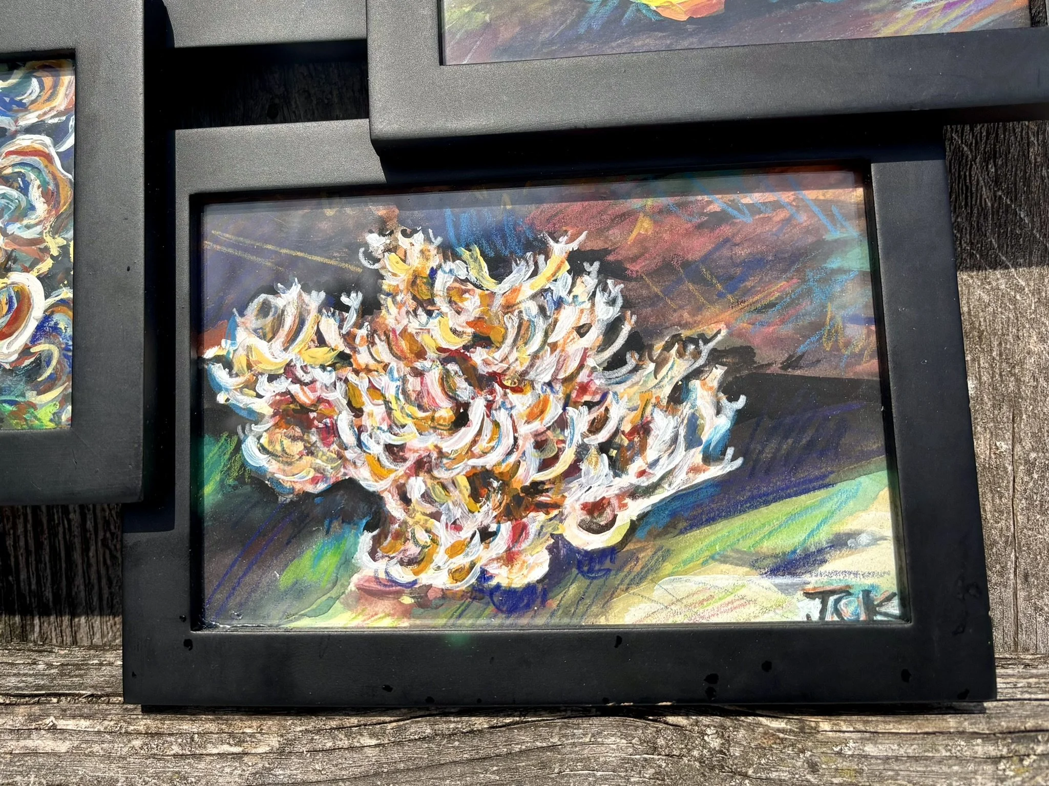 Mycology, 2026, 4.5x5.5 inches each, gouache and colored pencil on illustration board in thrifted 12.5x18 inch frame