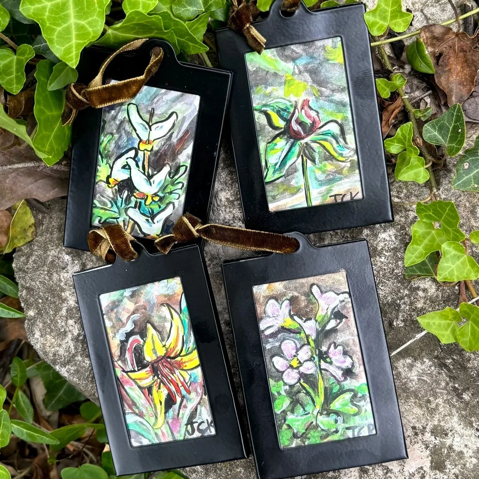 Native Ohio Plants (Series)