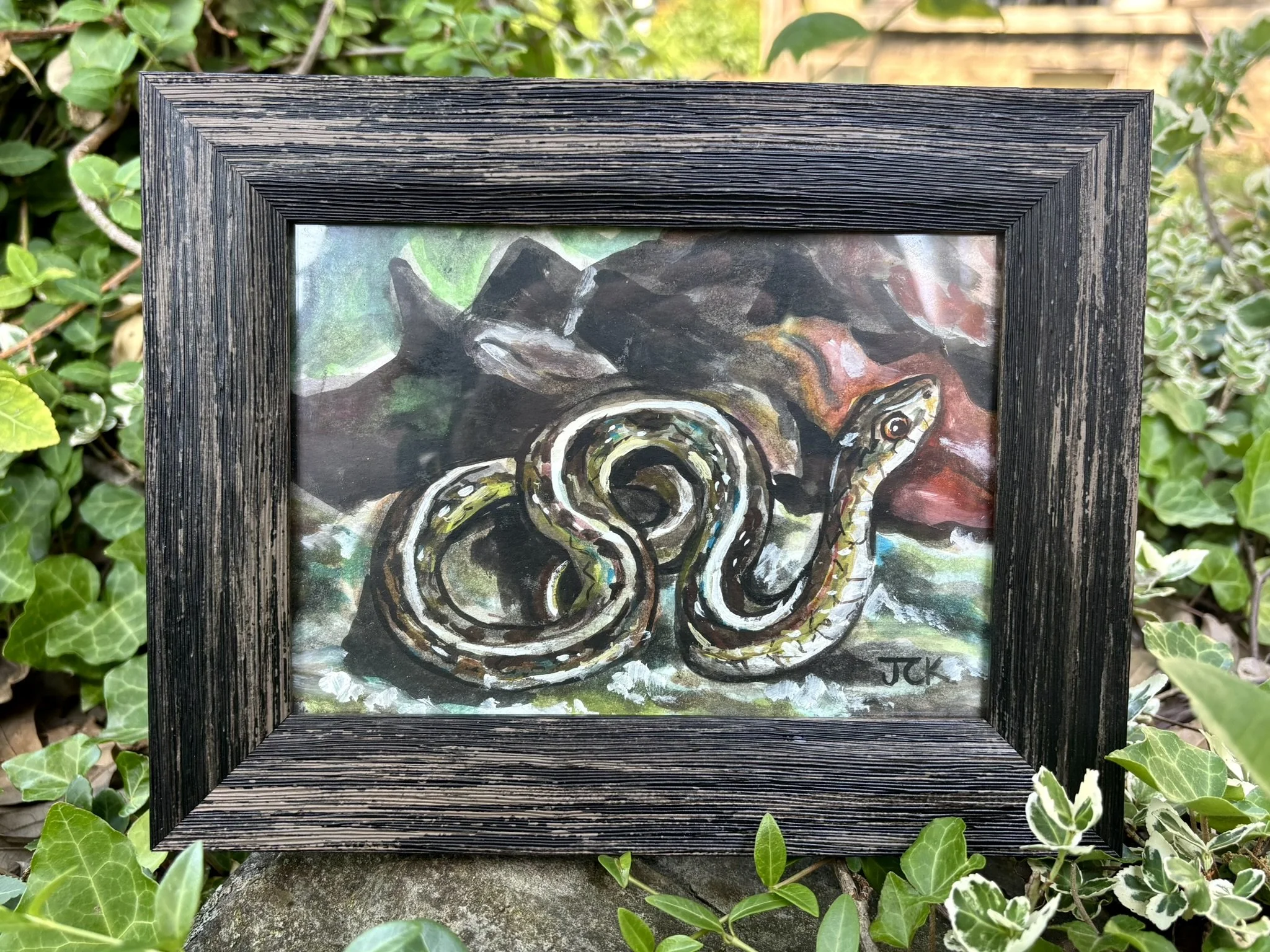 Garter Snake