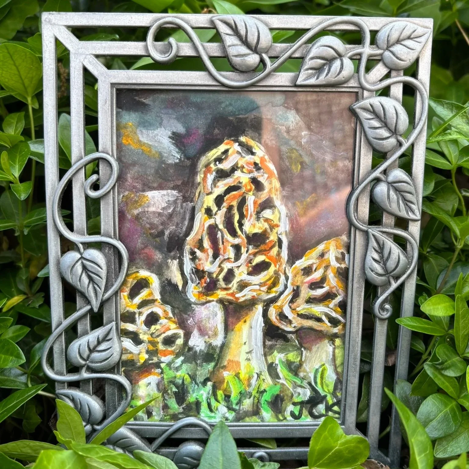 Morels - SOLD