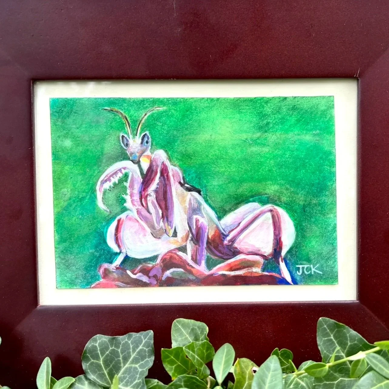 Orchid Mantis - SOLD