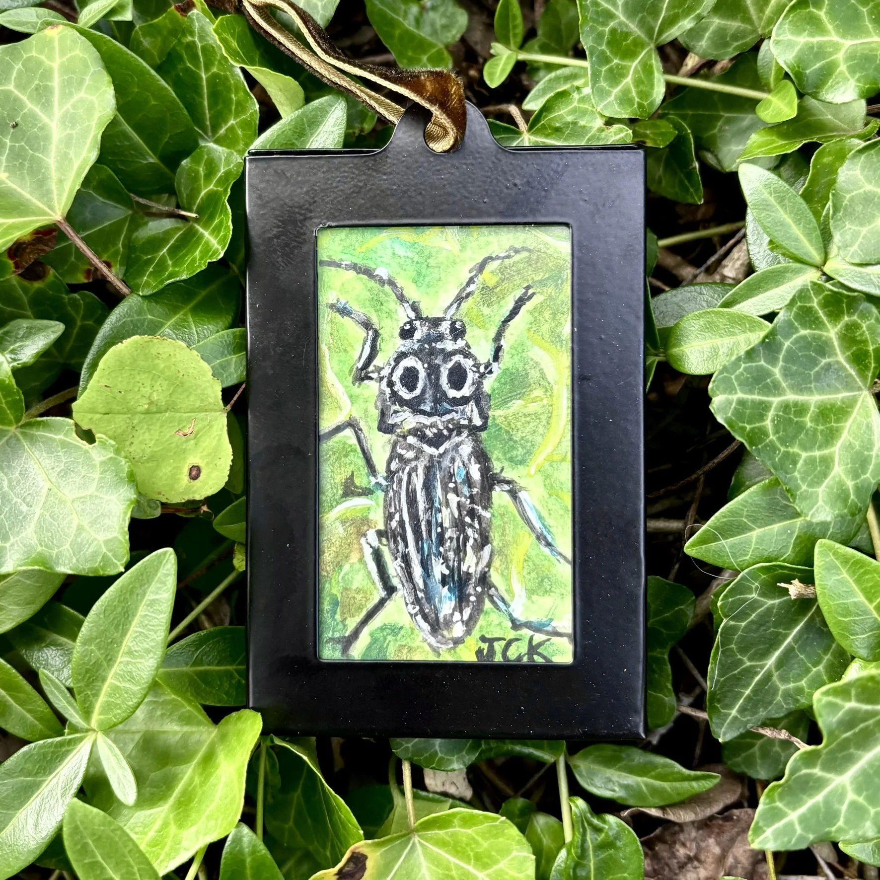 Eastern Eyed Click Beetle - SOLD, 2026, 2x3 inches, gouache on multimedia paper