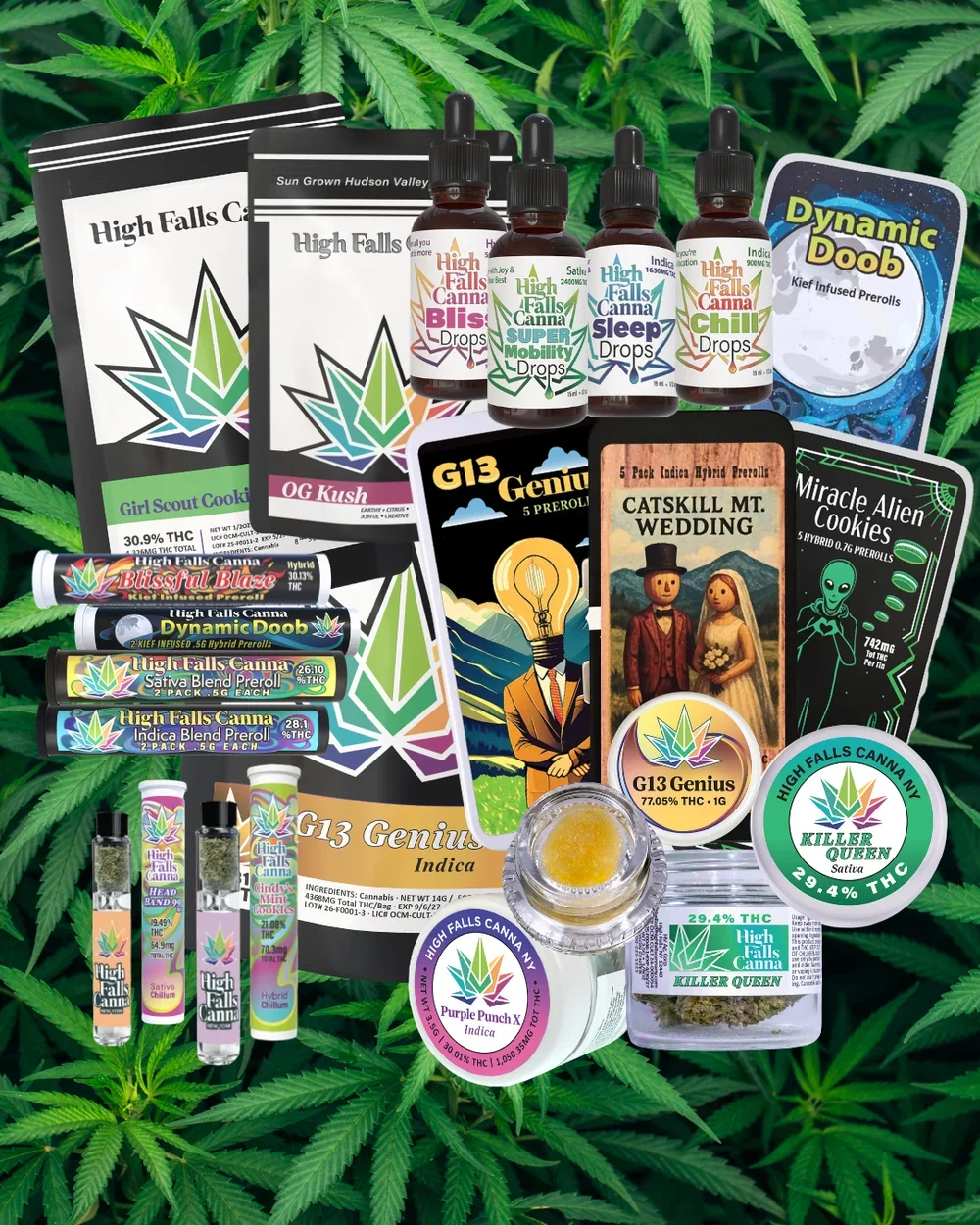 Brand Pop – Up: High Falls Canna