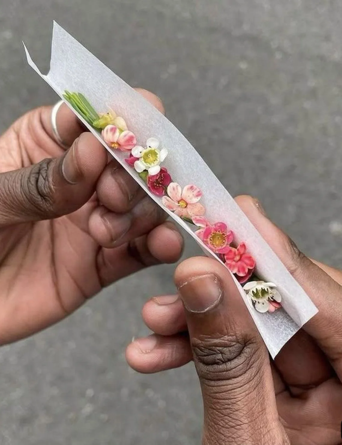 BK Greenery Presents: Cannabis 101