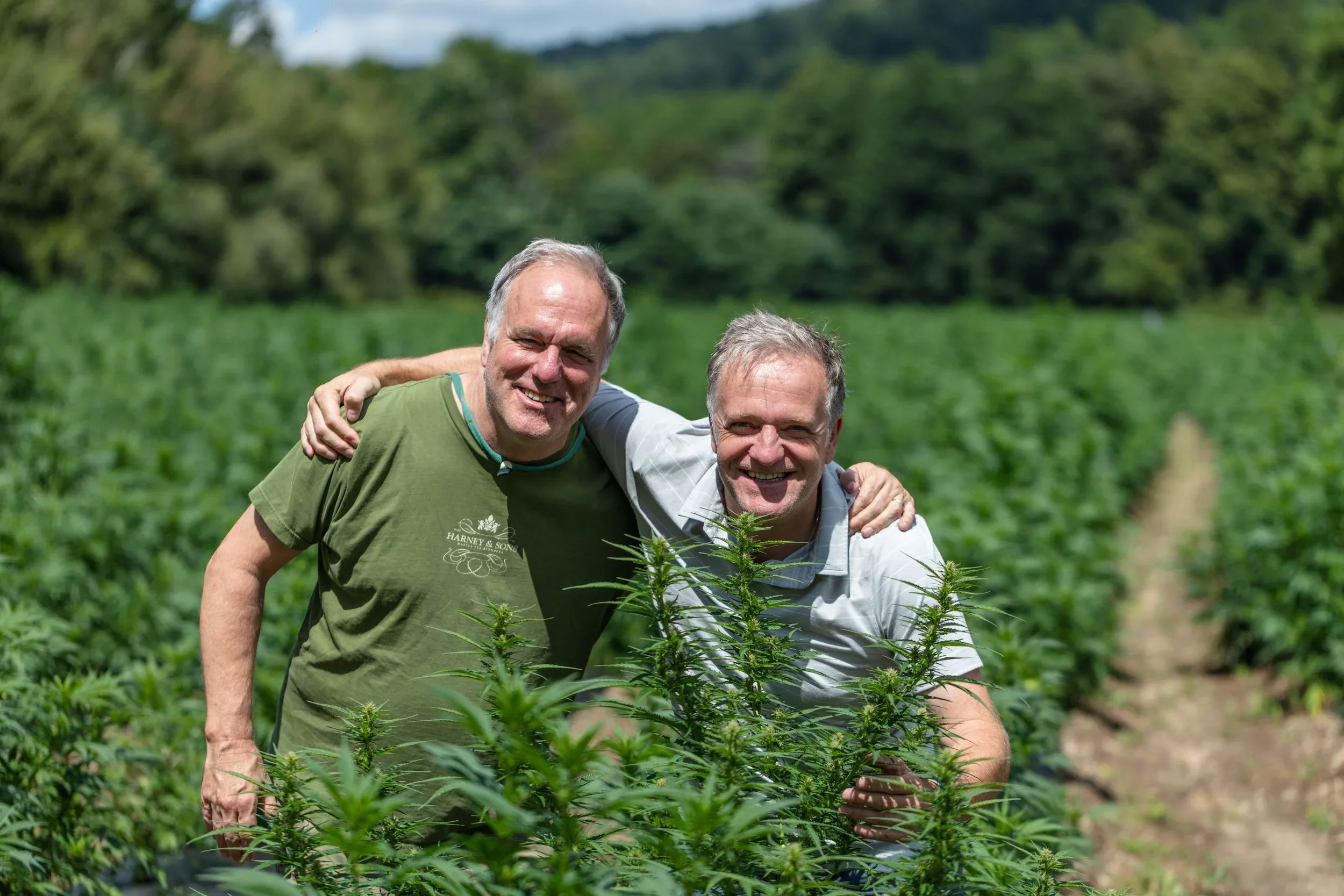 Brand Pop – Up: Harney Brothers Cannabis