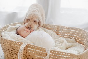 zMika+James+Amaya+Photography+++In-Home+Newborn+Portrait+Session+(201).jpg