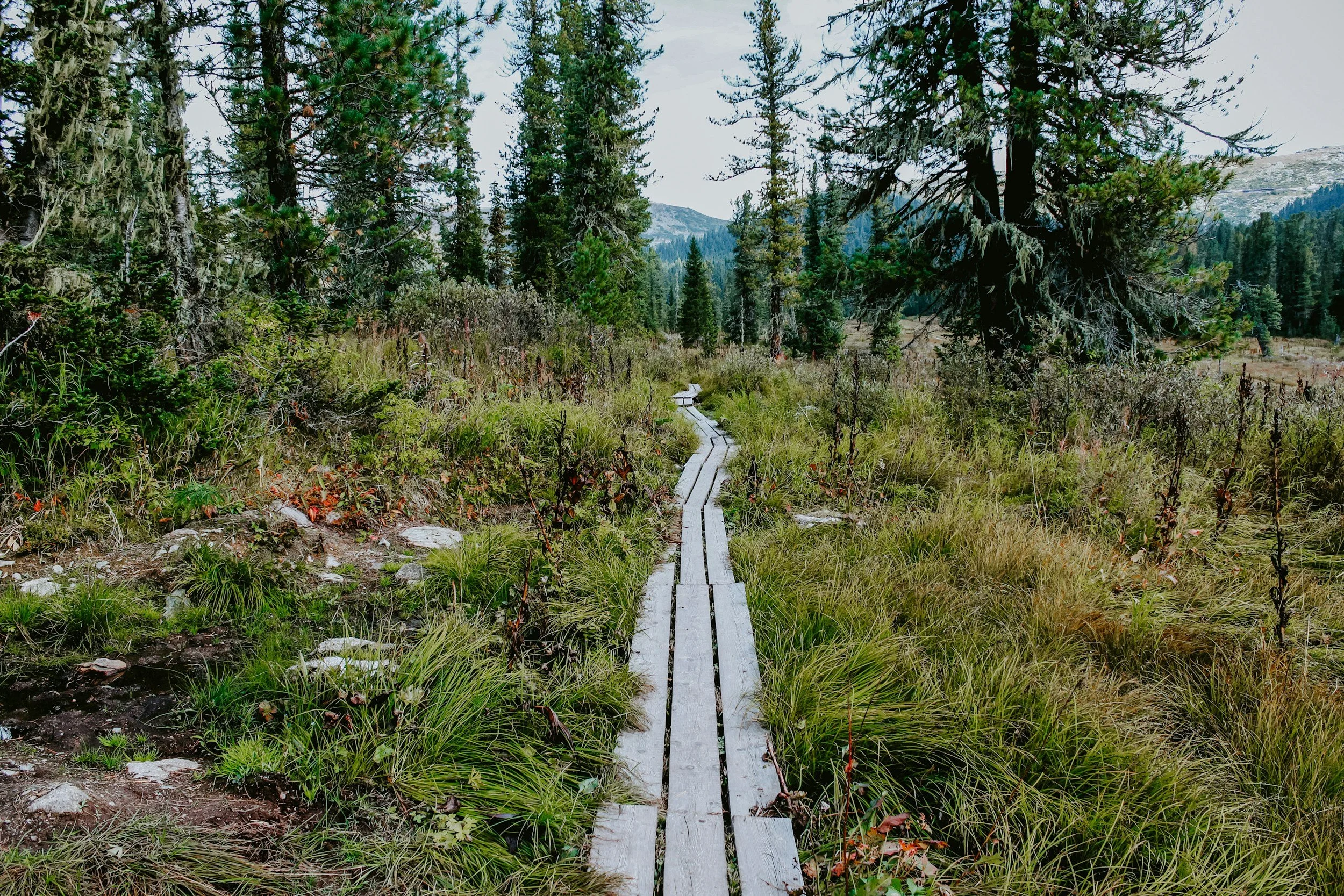unsplash-image-MlH3VYrKNx4.jpg