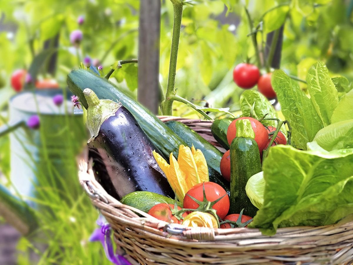 Hope Community Garden Class: Winter Gardening