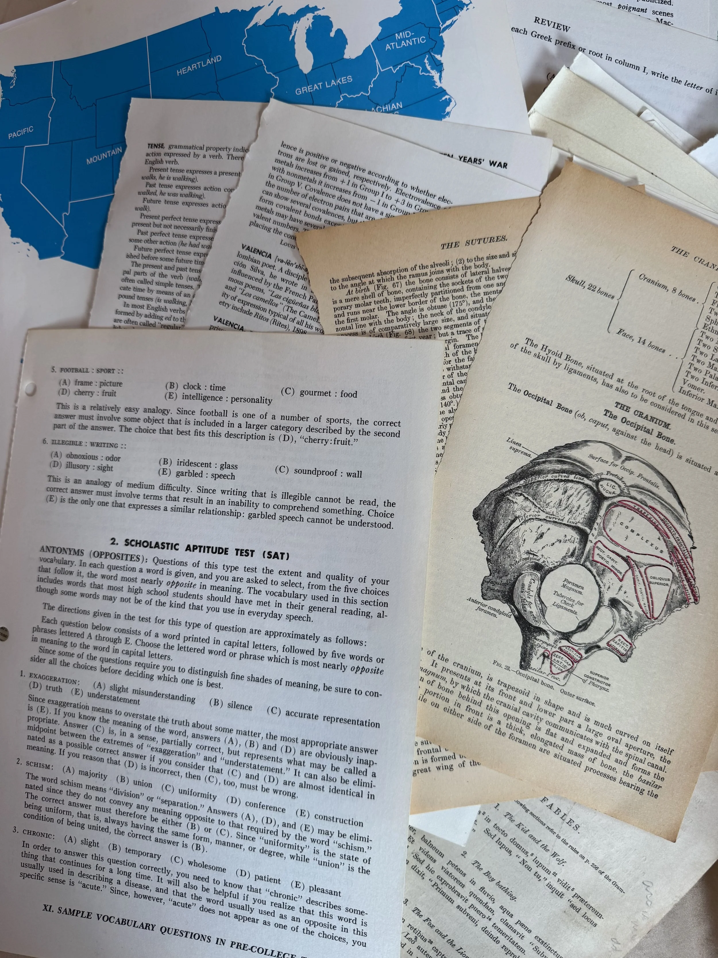 Vintage Schoolhouse & Academic Ephemera Bundle
