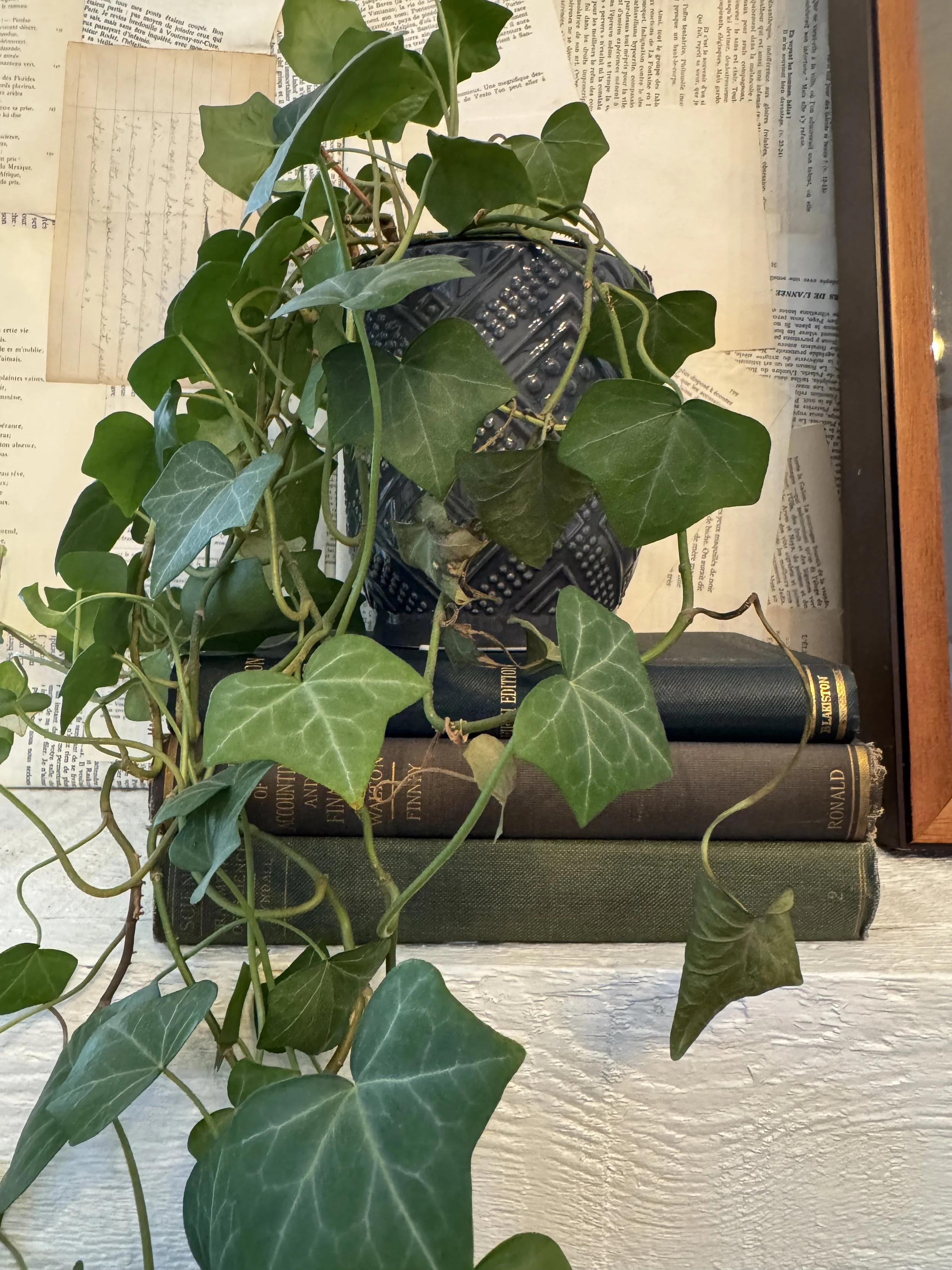 The Fern & Ivy Curated Book Bundle