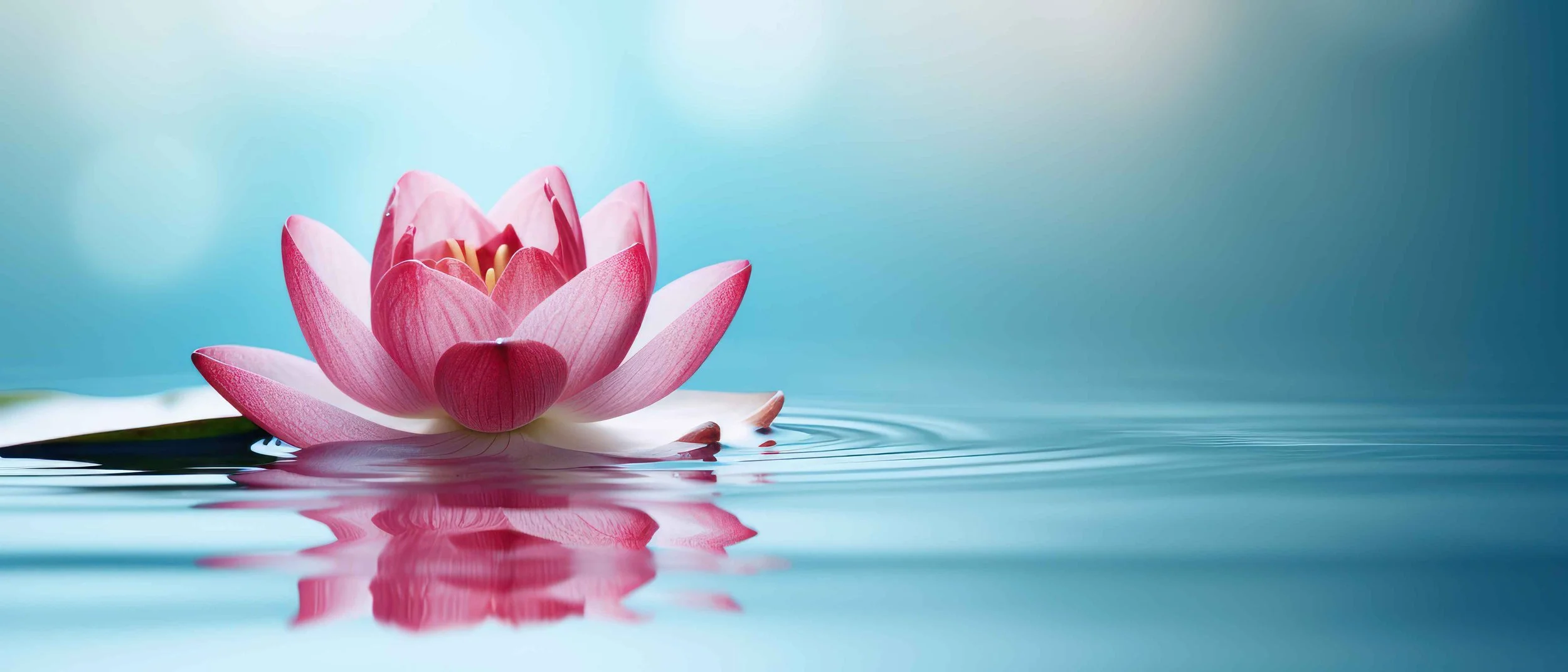 beautiful-lotus-bloom-set-against-serene-water-background-essence-zen-meditation.jpg