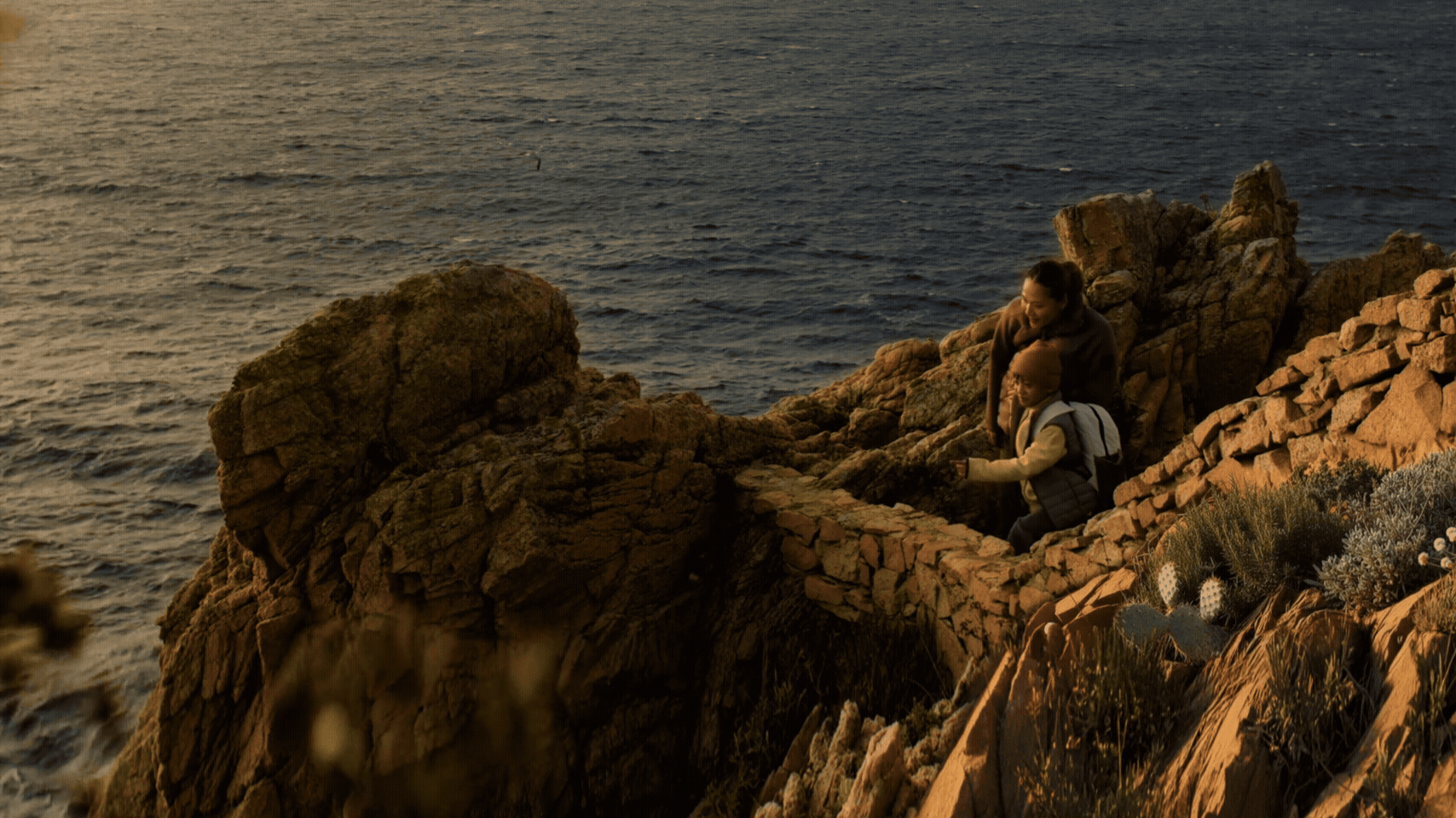 JPM D48 10s Family v01 (5).gif