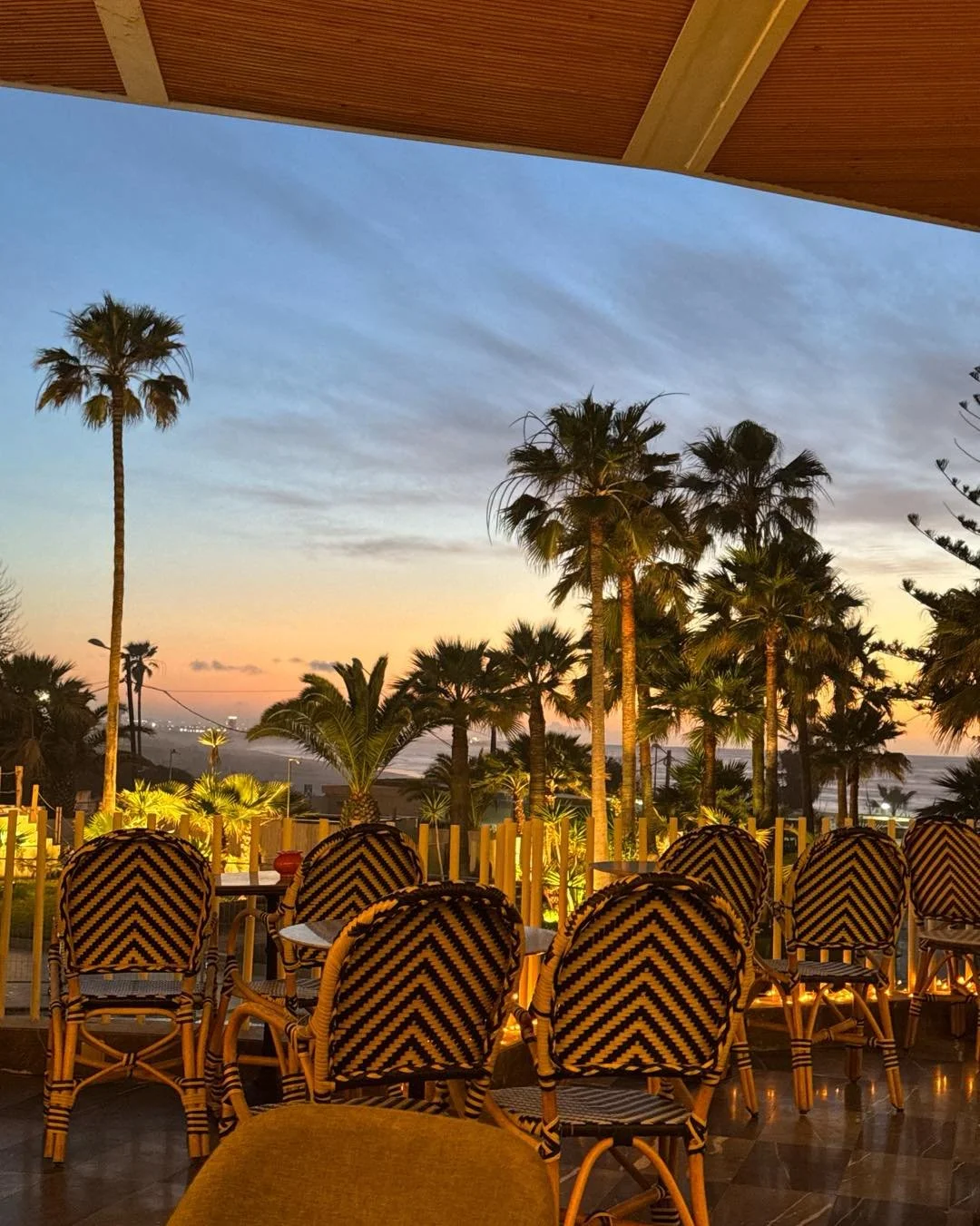 Dreaming of somewhere warmer? Us too. 

Check out our trips to plan your break from the cold