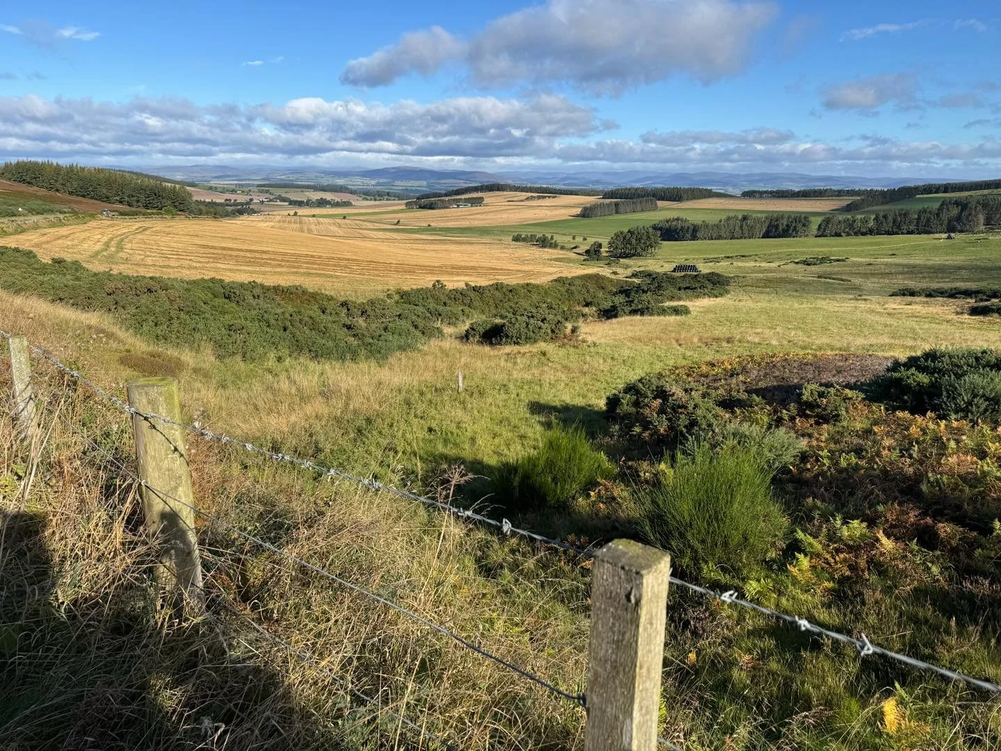 🌎✈️ Did you know we do custom tours? If your church or small group has an idea we'd love to help!