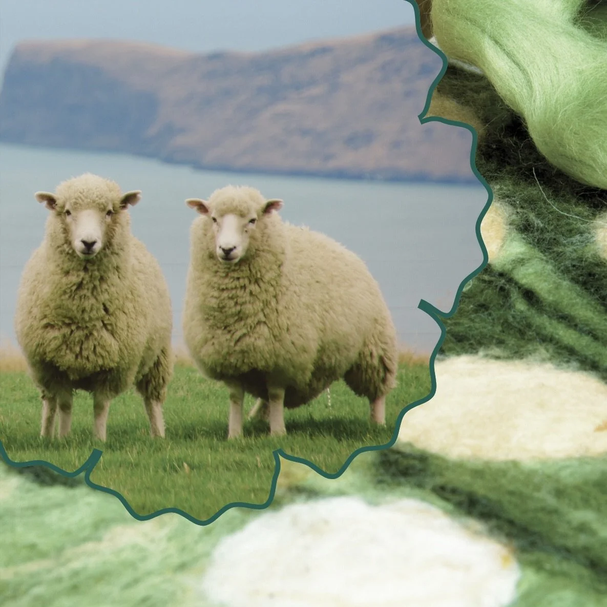 Promo Postcard_Ireland Wool and Wonder 2026.jpeg