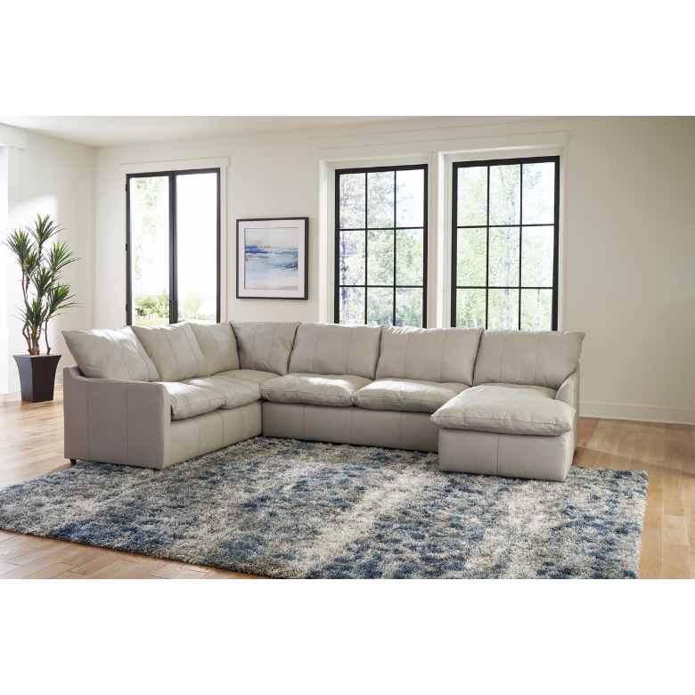 Pictures For Website (70).png