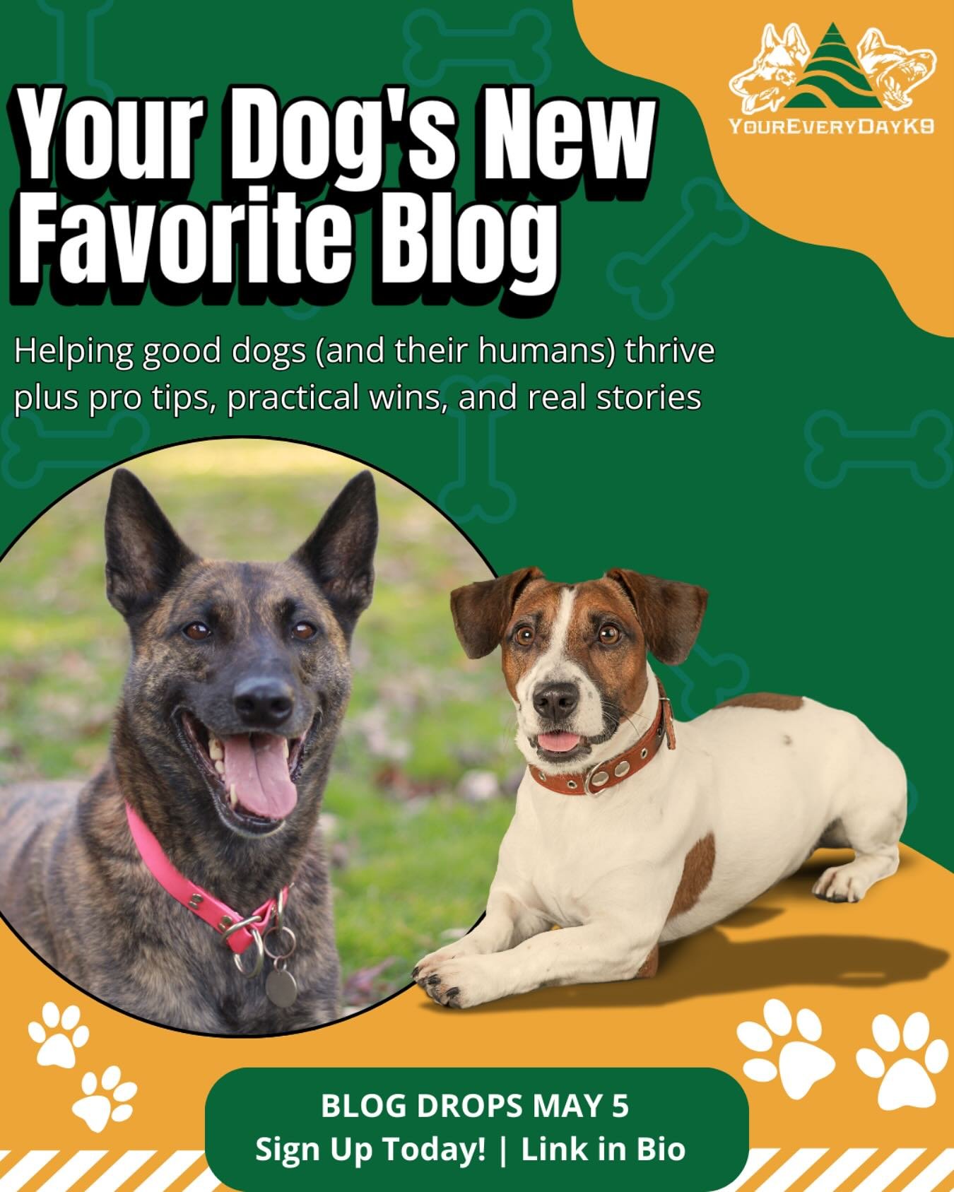 You don’t need to train alone.
Whether you’ve got a brand-new pup or a seasoned sidekick, training is better when you’ve got support—and the right tools.
That’s why we created Your Dog’s New Favorite Blog: a spac