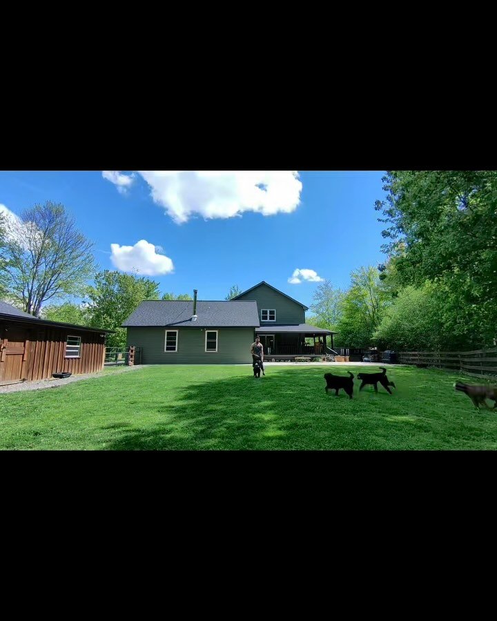 What our daycare looks like 😜
All sorts of fun around fun finished with a side of relaxation.
Call or email today to book a slot!
YourEveryDayK9@gmail.com
716.387.4658
#dogtraining #dogsofbuffalo #socialization #dog #localbusiness