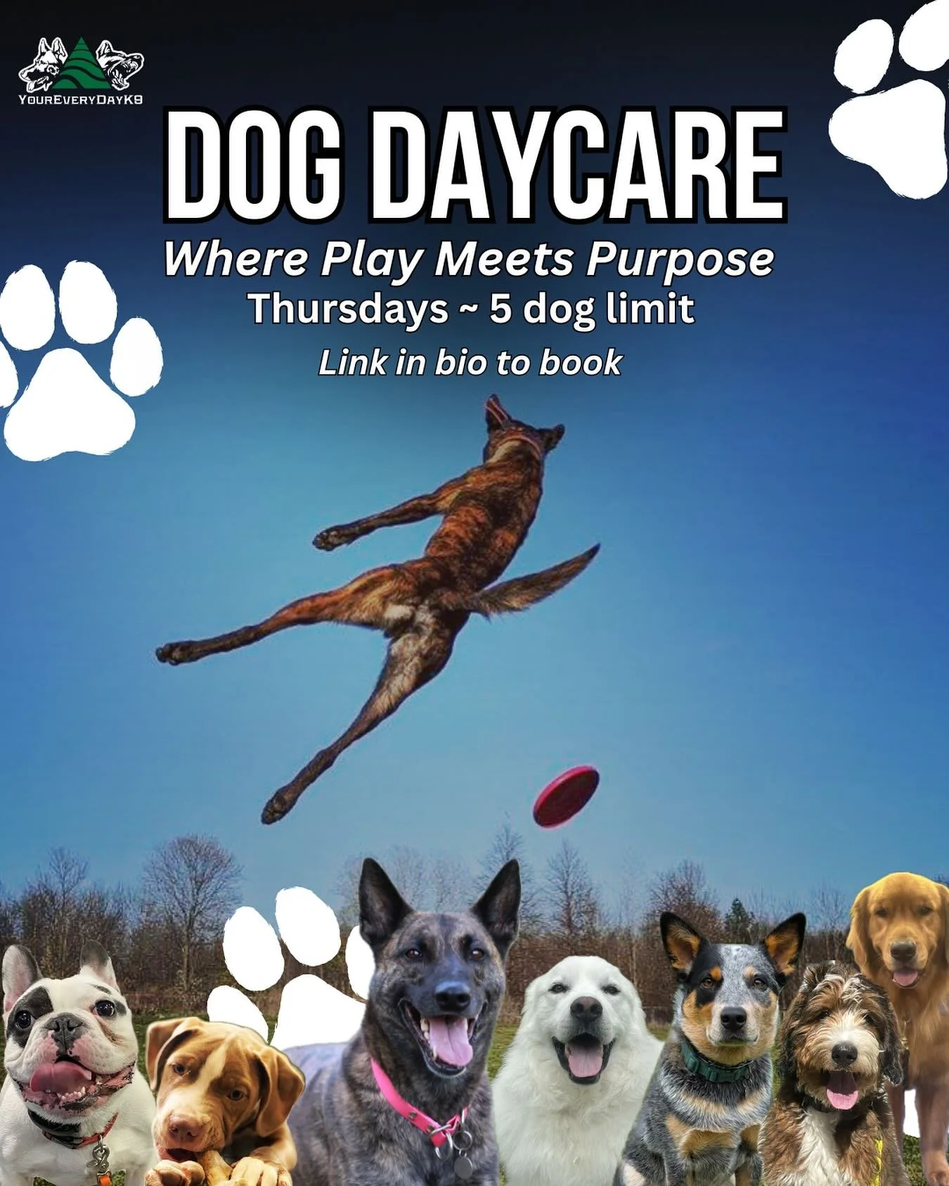 🚨 5 spots. That&rsquo;s it. 🚨

Every Thursday, we open our doors to a handful of dogs for a day of play, purpose, and personalized care.

🐾 Structured activities
🧠 Mental and physical enrichment
😴 Built-in rest time
💙 One-on-one attention

*New