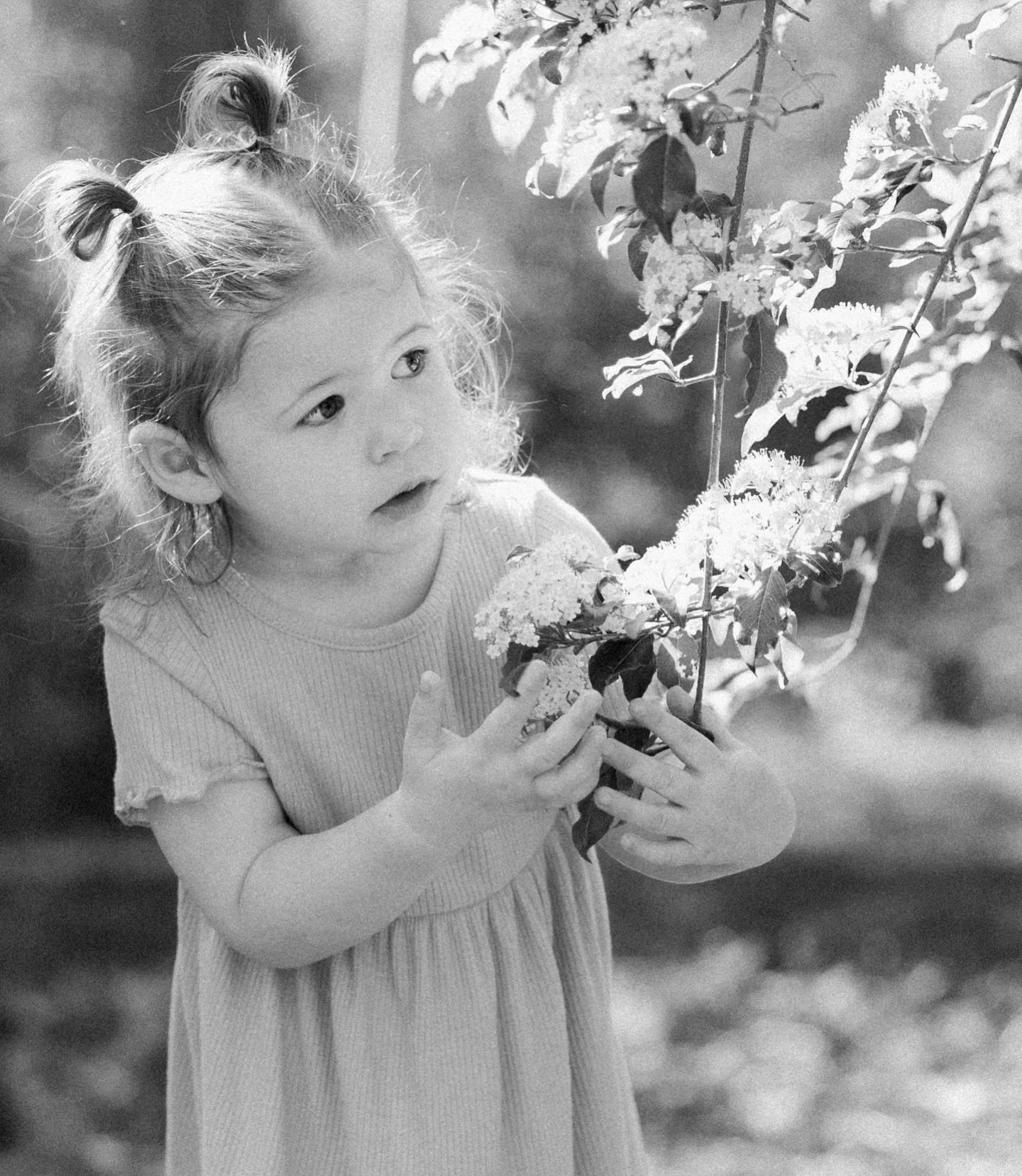 🌸 Spring Minis 🌼

For my friends wanting something short and sweet before it gets terribly warm 

I think we will have some lovely flowers popping up by then. Sessions will take place at a green outdoor location in Omaha, NE. Exact location tbd.

D