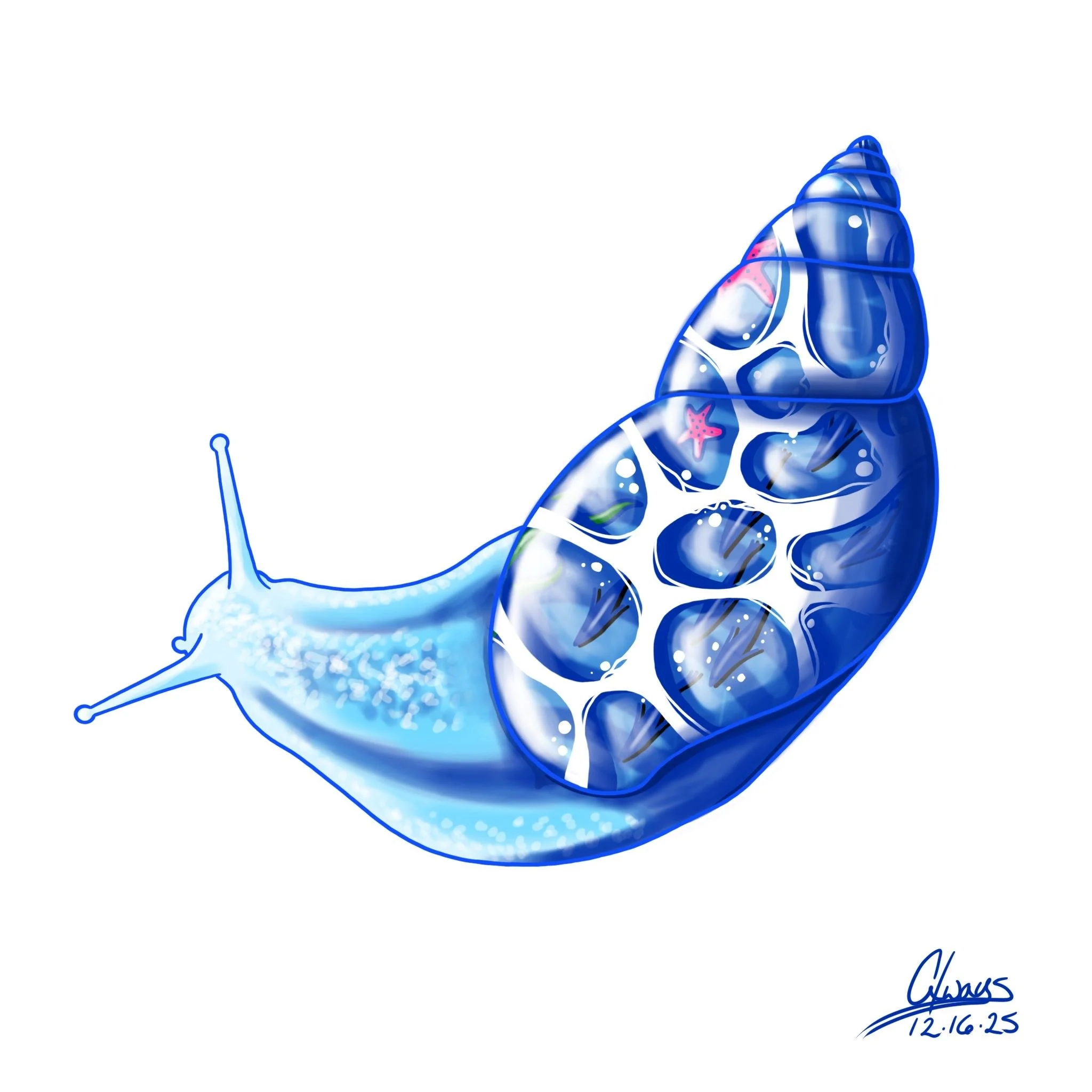 Snail Sticker - Blue Ocean