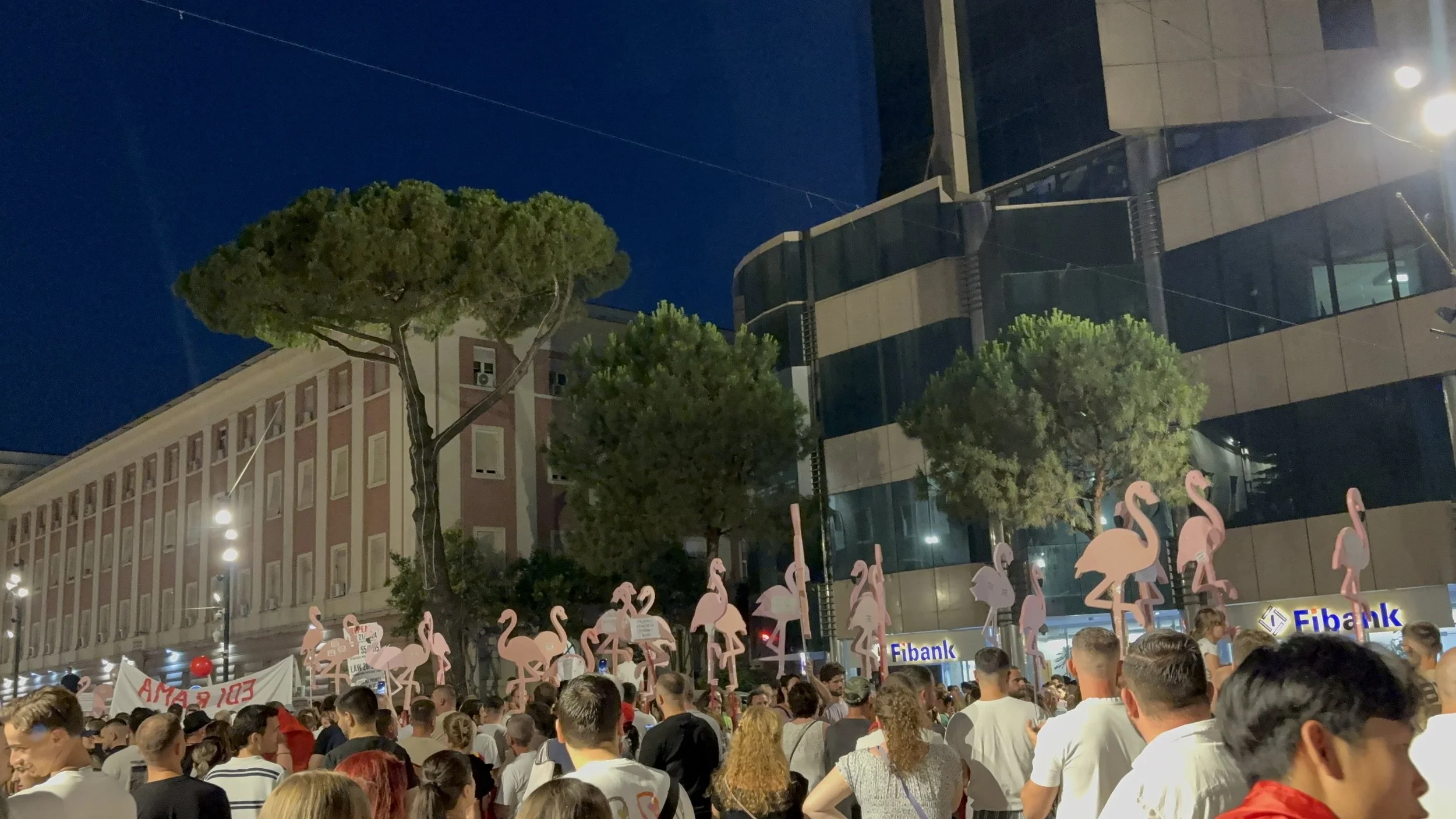 And the flamingos march on