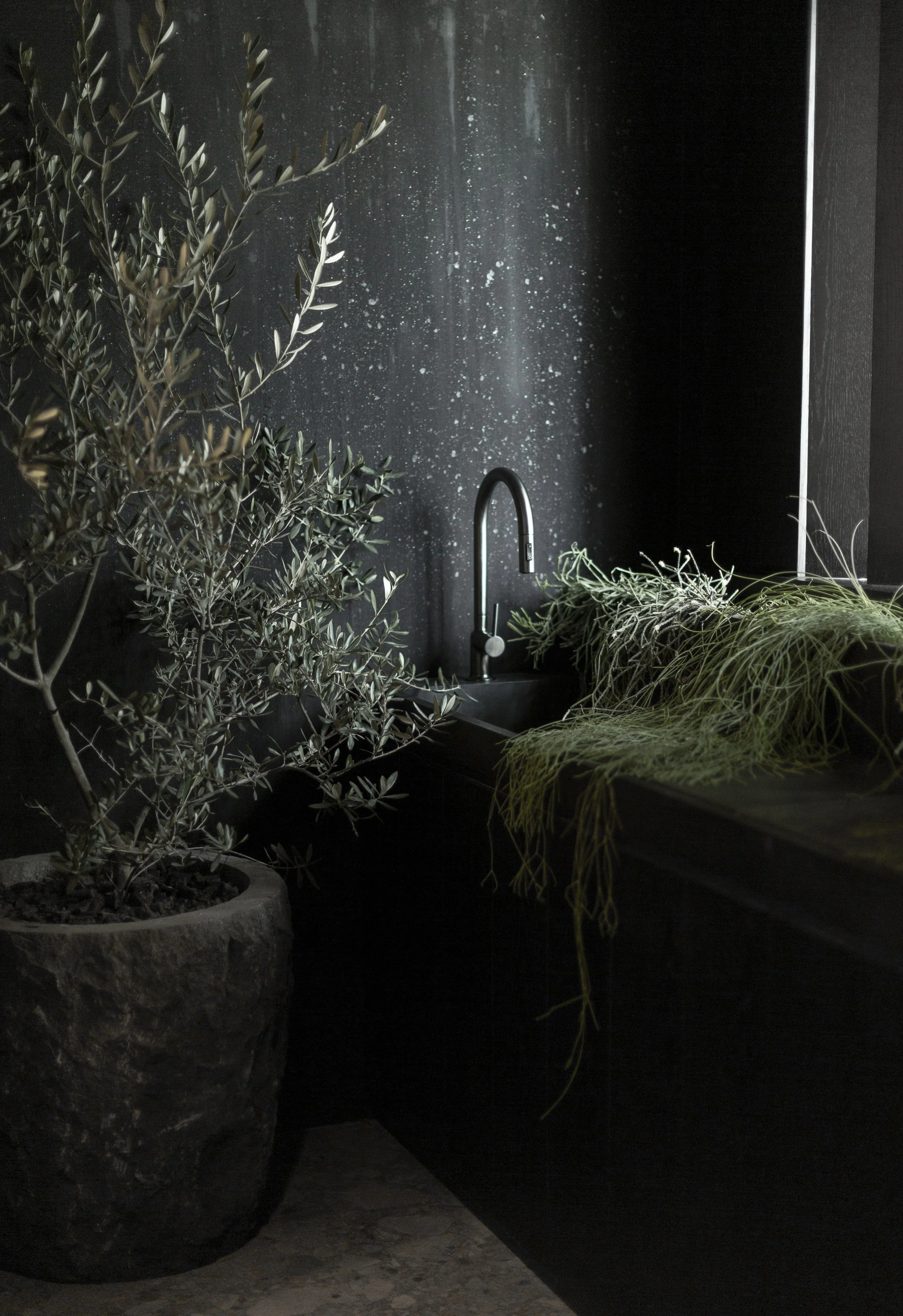 IMG_5449_ALUM GÁLVEZ copy.jpg