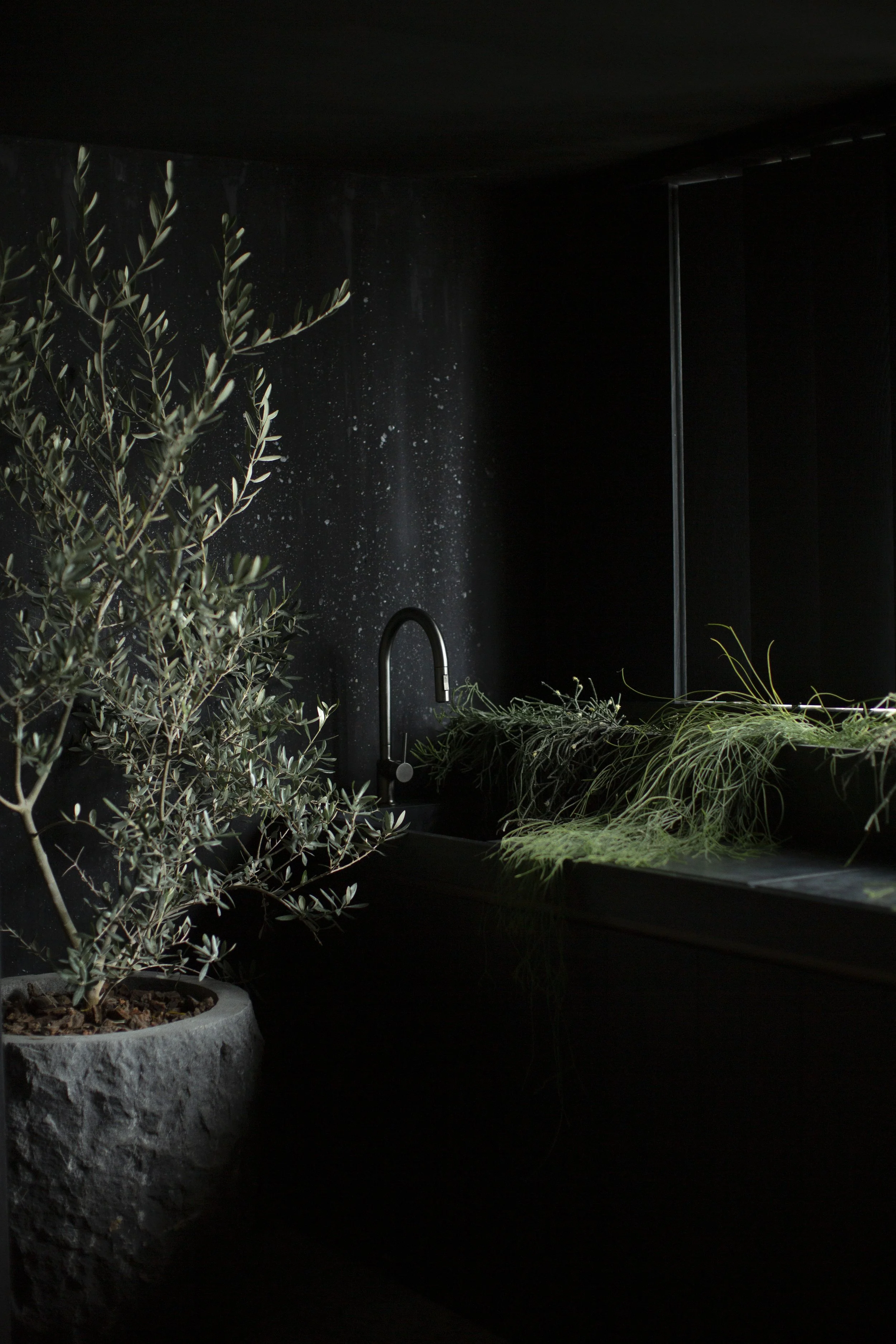 IMG_5520_ALUM GÁLVEZ.JPG