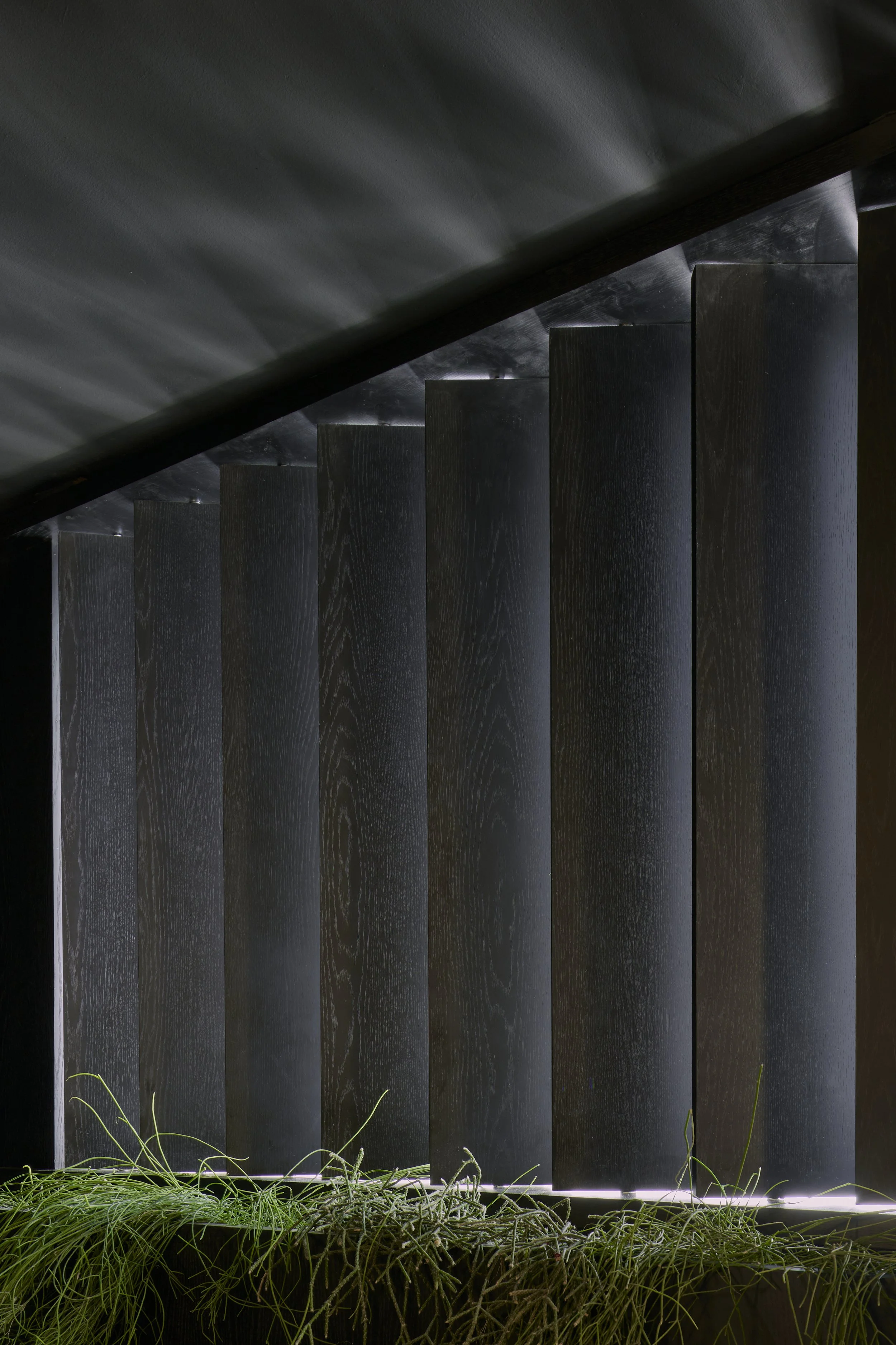 DHMX_2022_ESTUDIORDLC_0 31.jpg