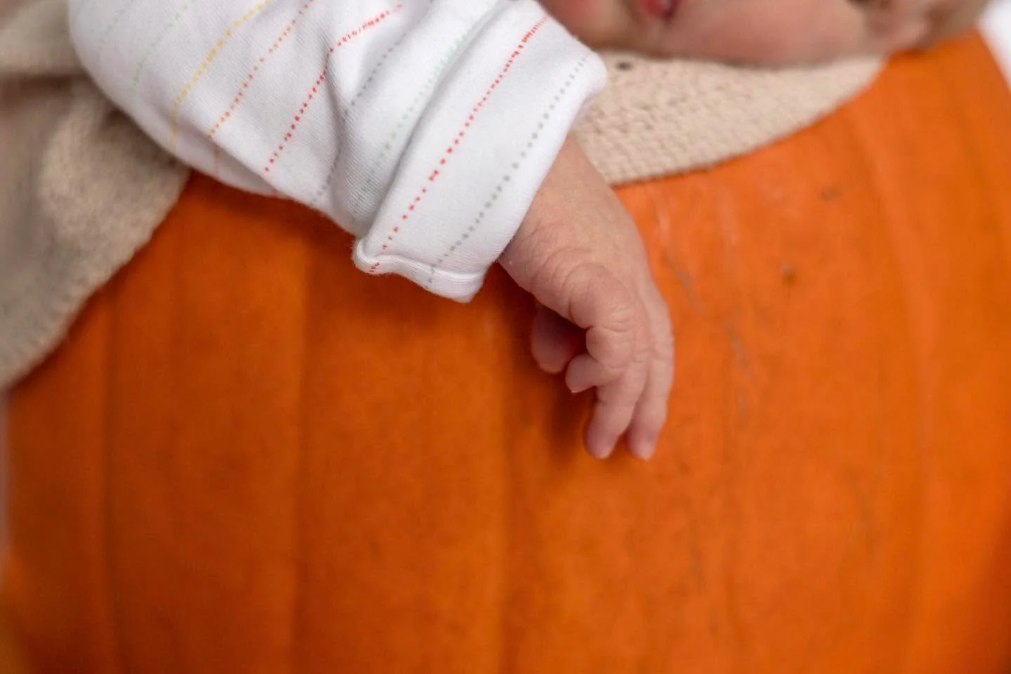 Our second greatest masterpiece &mdash; the tiniest pumpkin in the patch and like a true gentlemen he didn&rsquo;t keep me waiting. (Glad I squeezed in my Autumn and Newborn shoot when I did!) 🍁🧡

Couldn&rsquo;t resist dusting off my camera to capt