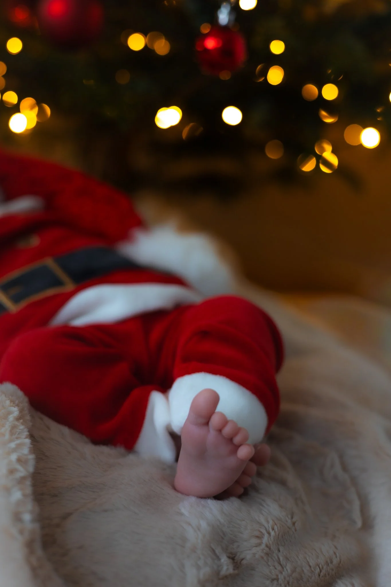 Newborn Toes under a christmas tree