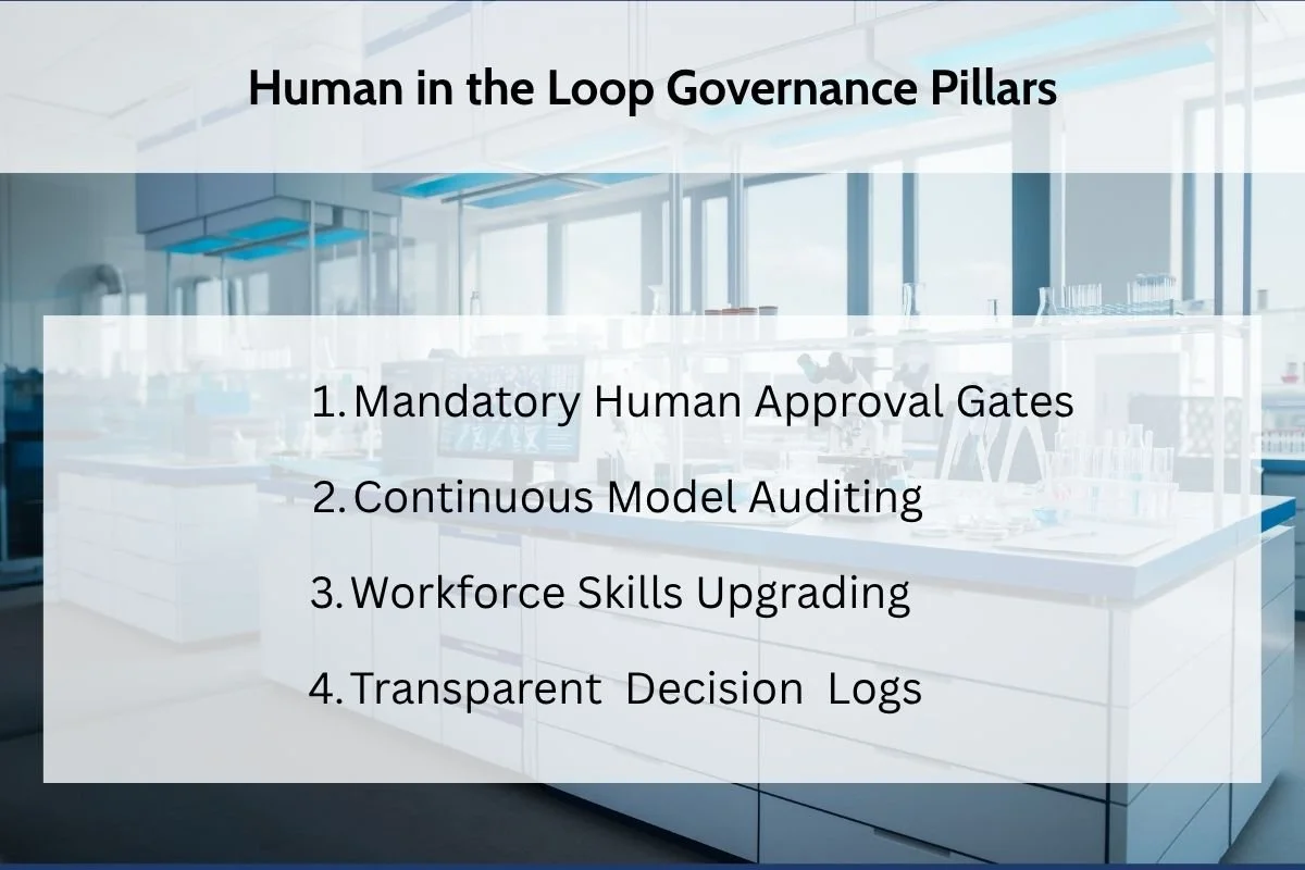 Human in the Loop Governance Pillars