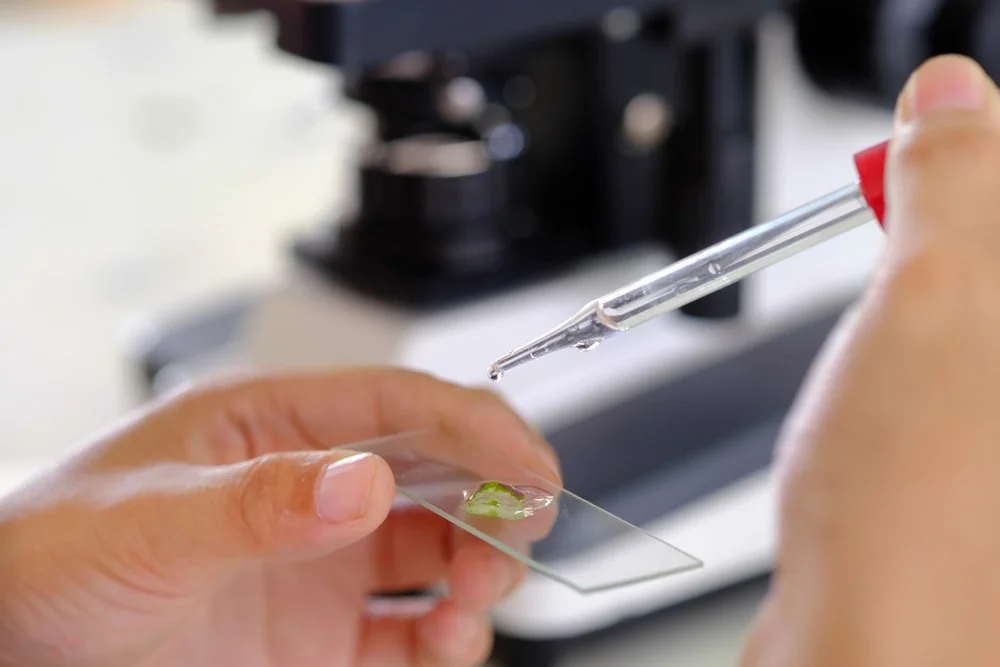 Spatial Omics and Single-Cell Biology: Mapping the Next Generation of Precision Therapeutics