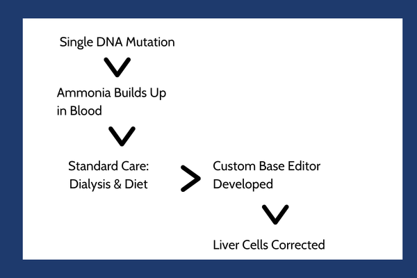 Single DNA Mutation