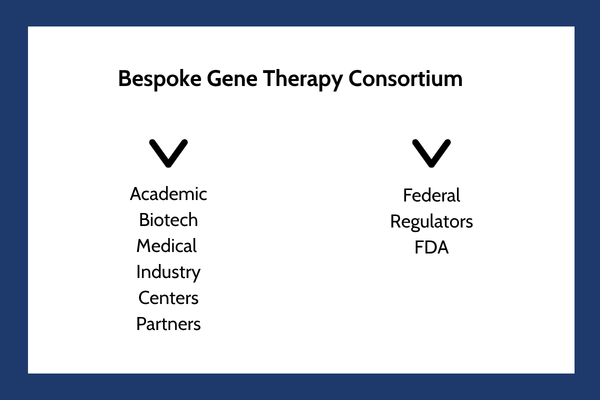 Bespoke Gene Therapy Consortium