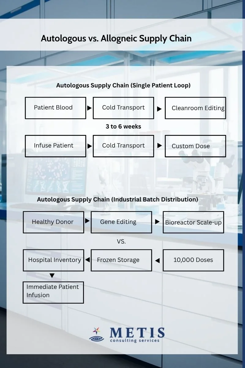 Autologous vs Allogneic Supply Chain