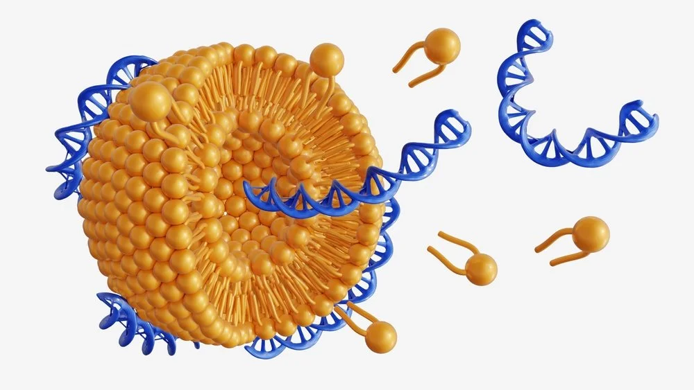 DNA lipid nanoparticles
