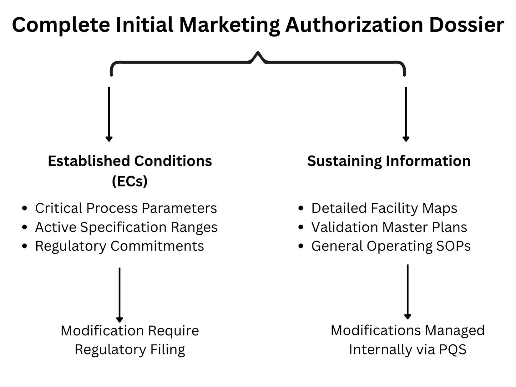 Complete Initial Marketing Authorization Dossier