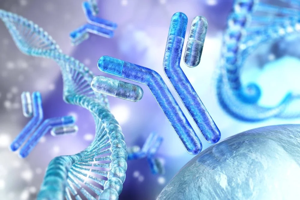 computer designed antibodies