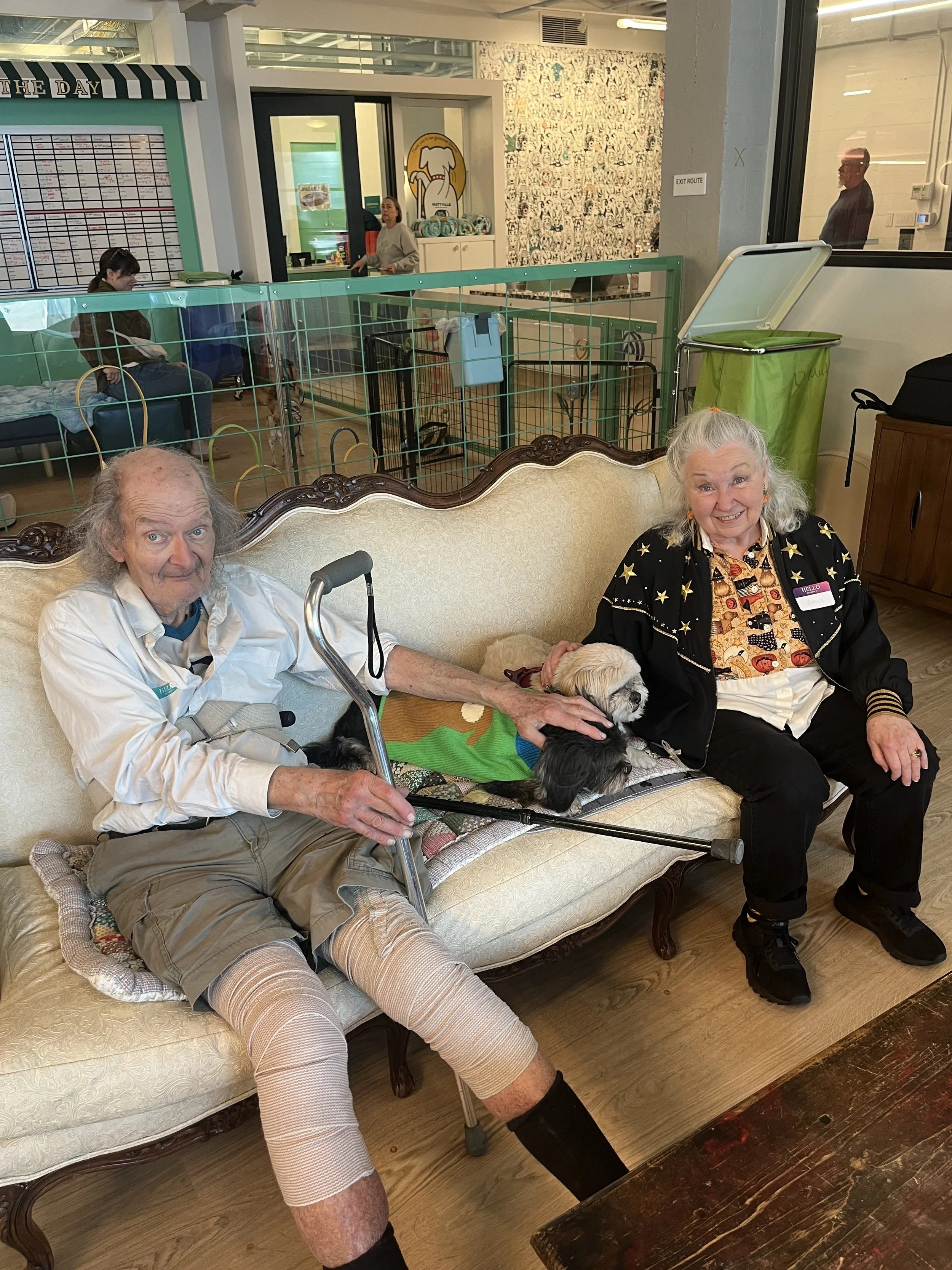 LBFE/Muttville Cuddle Club