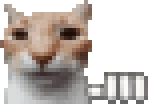 waiting-cat.gif