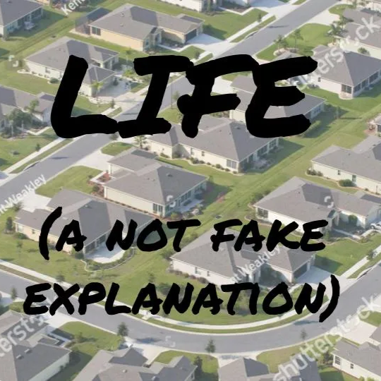 life; a not fake explanation