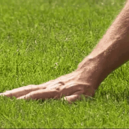 touching-grass (1).gif
