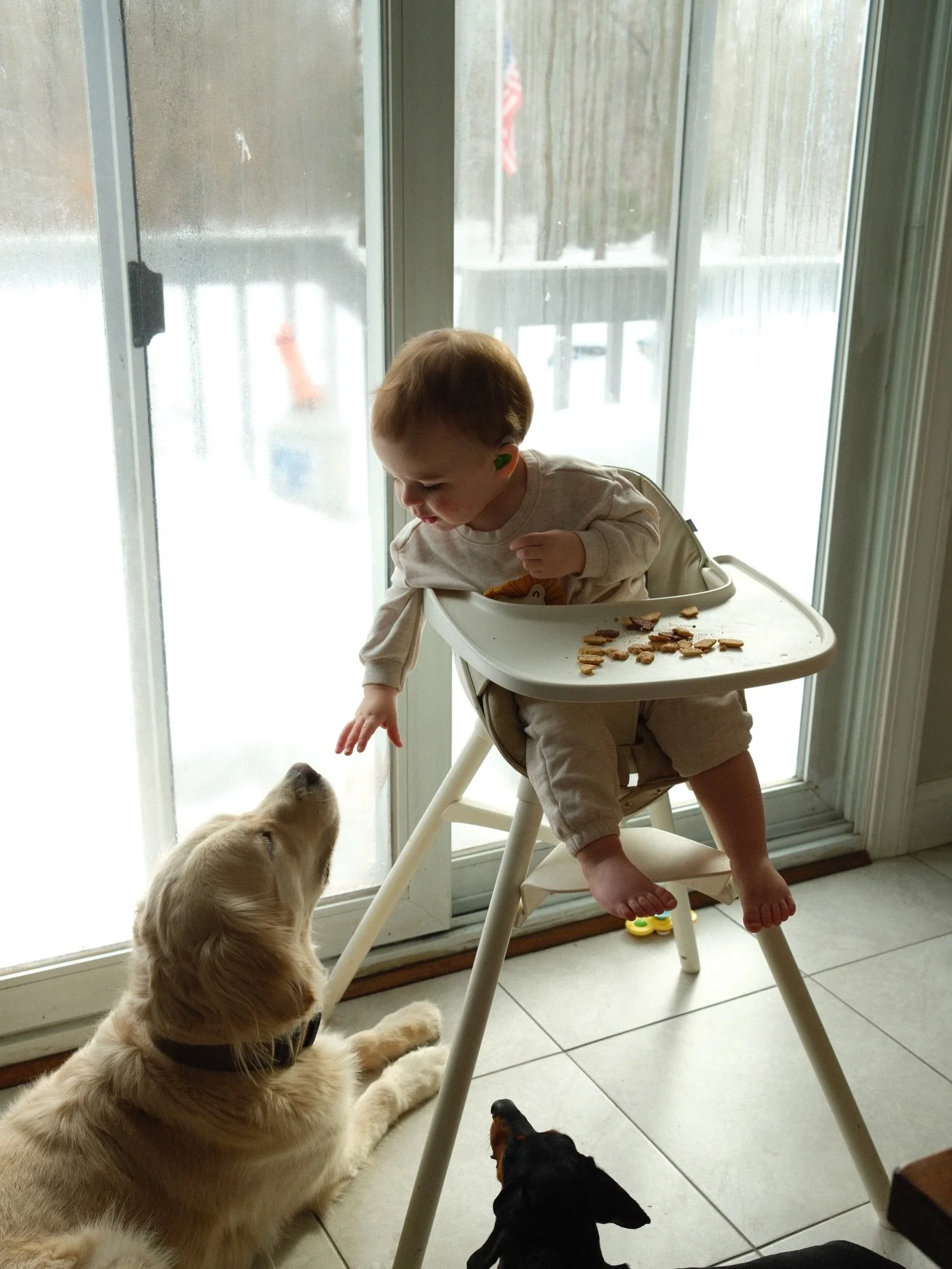 March on the new 📷 

#fujifilm #x100ⅵ #stpatricksday☘️