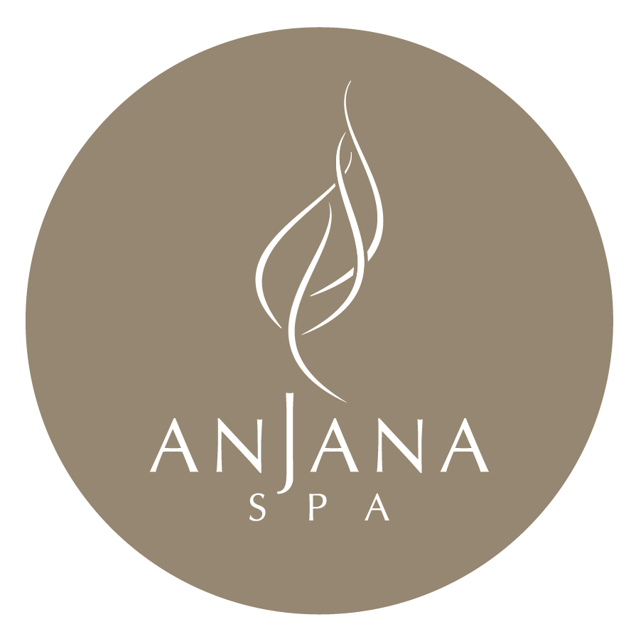 logo5.png