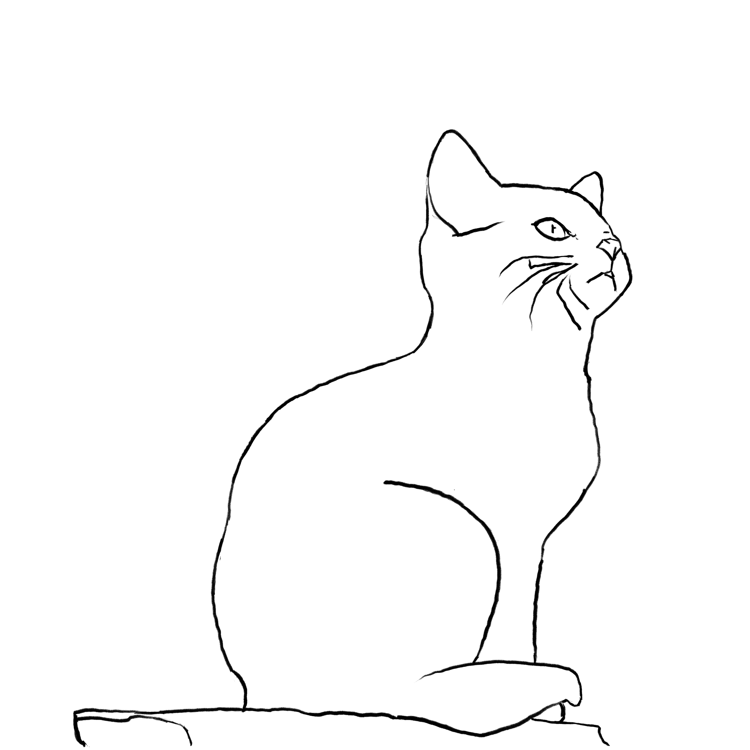 Untitled - August 9, 2025 17.45.53.png