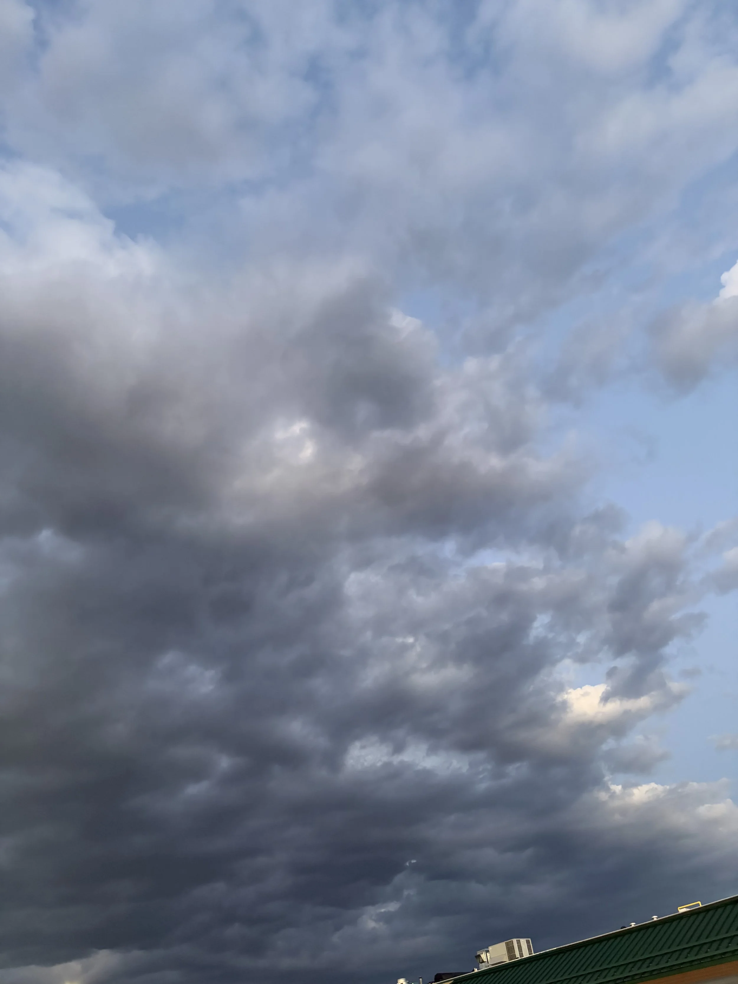 IMG_1981.jpeg