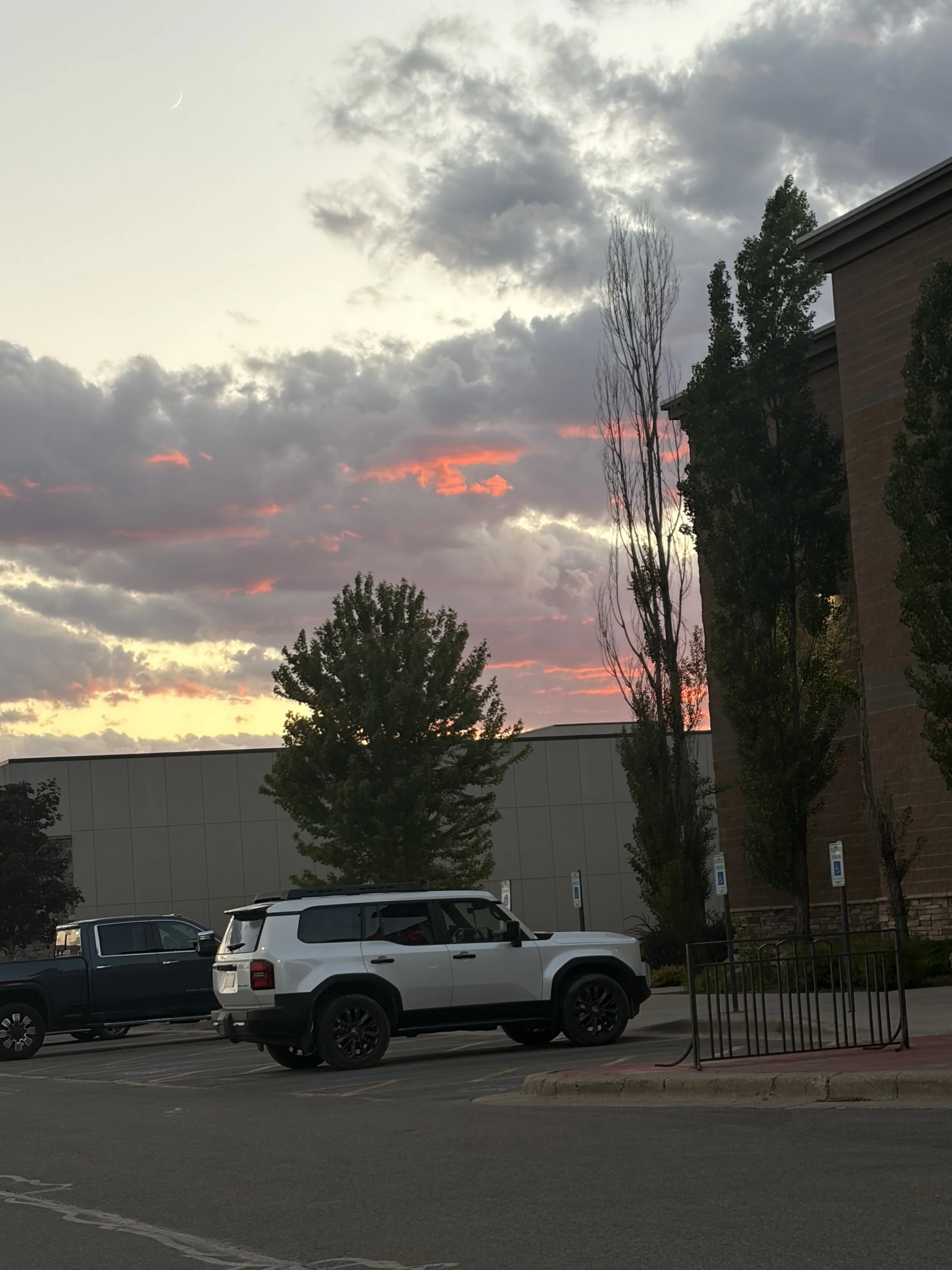 IMG_1971.jpeg